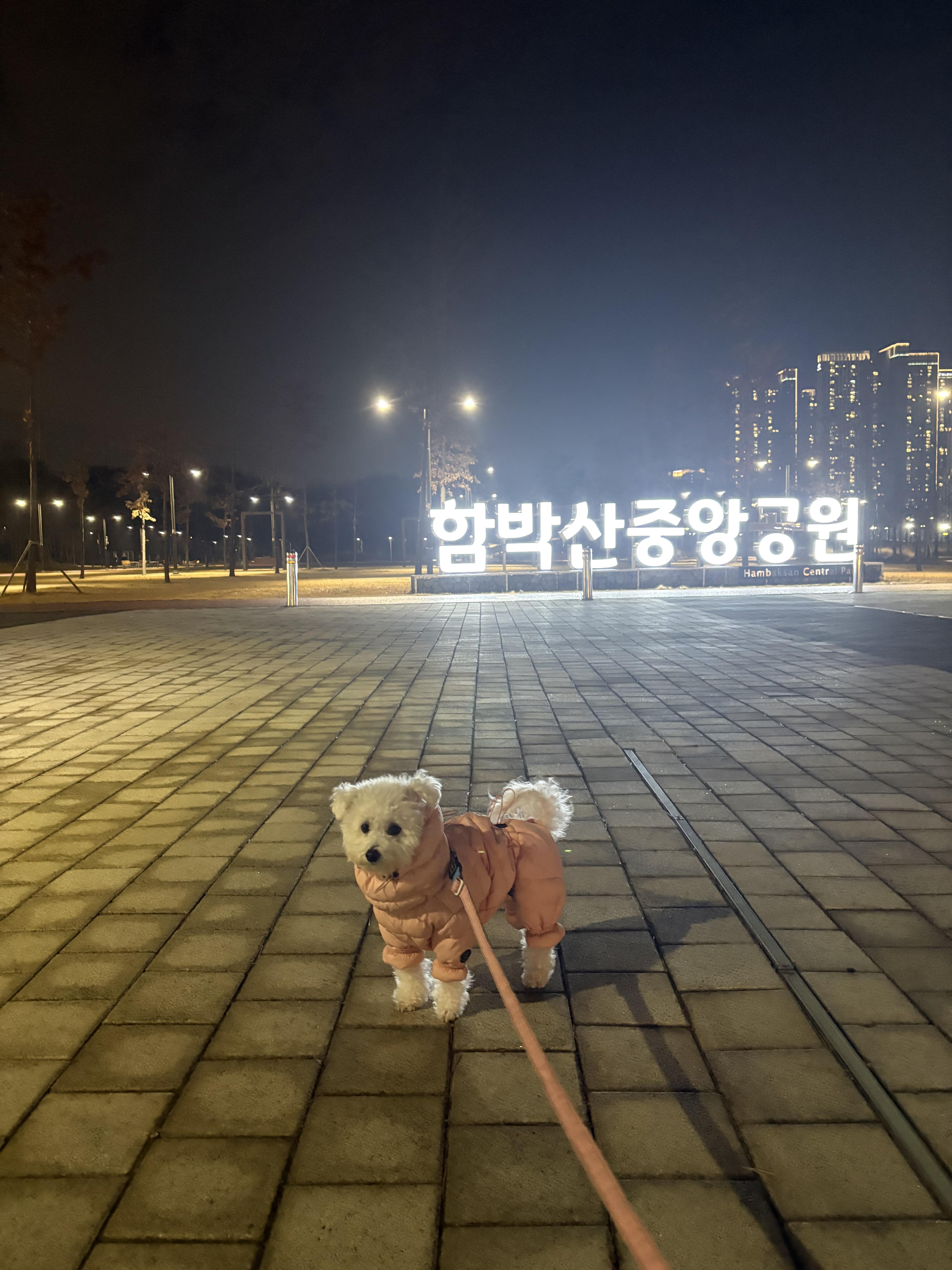 고덕동 실거주자 사진 2