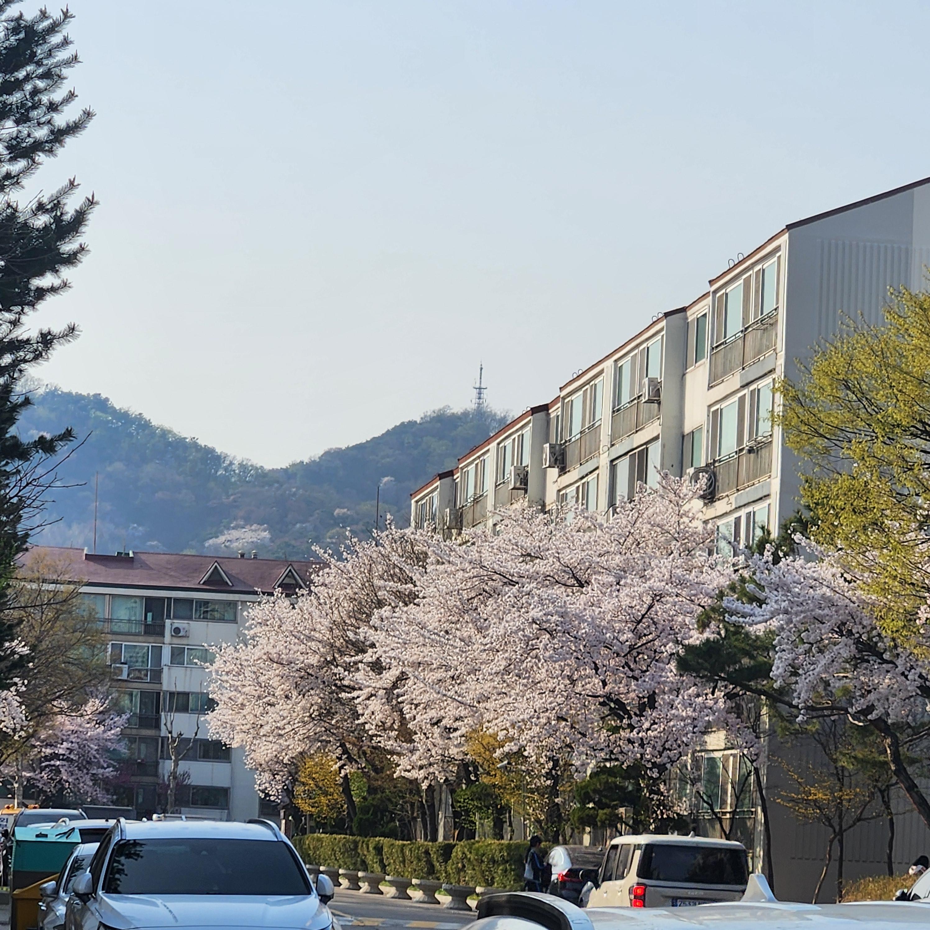 동춘동 실거주자 사진 6