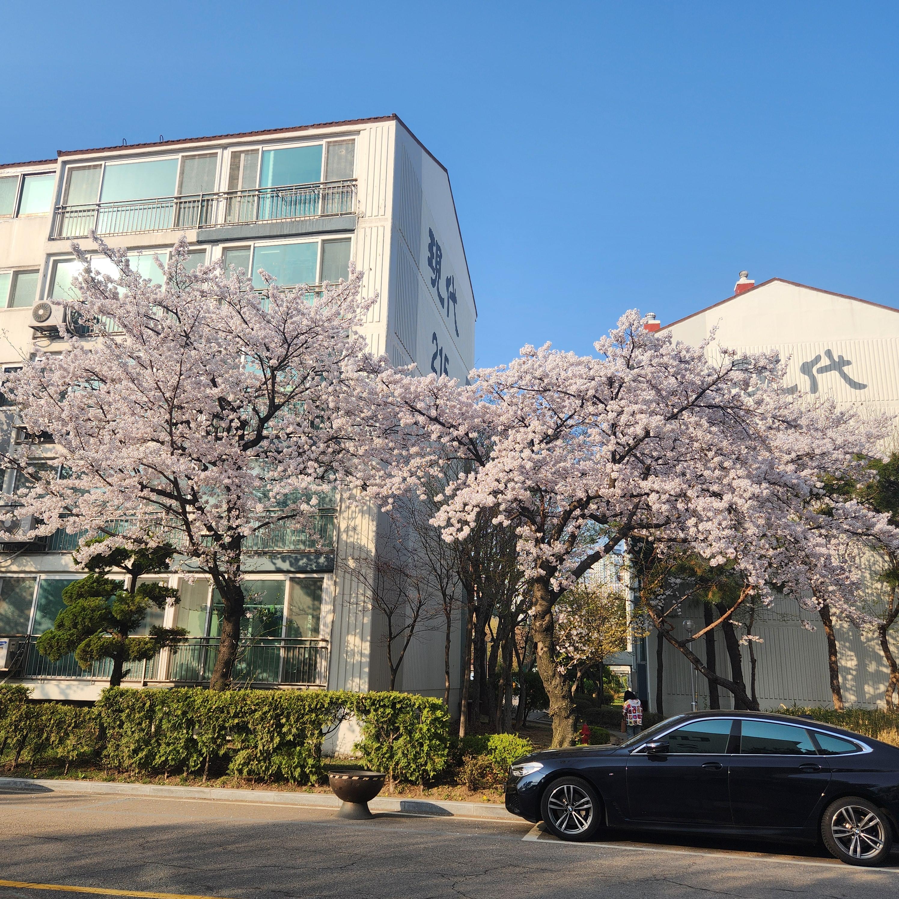 동춘동 실거주자 사진 7