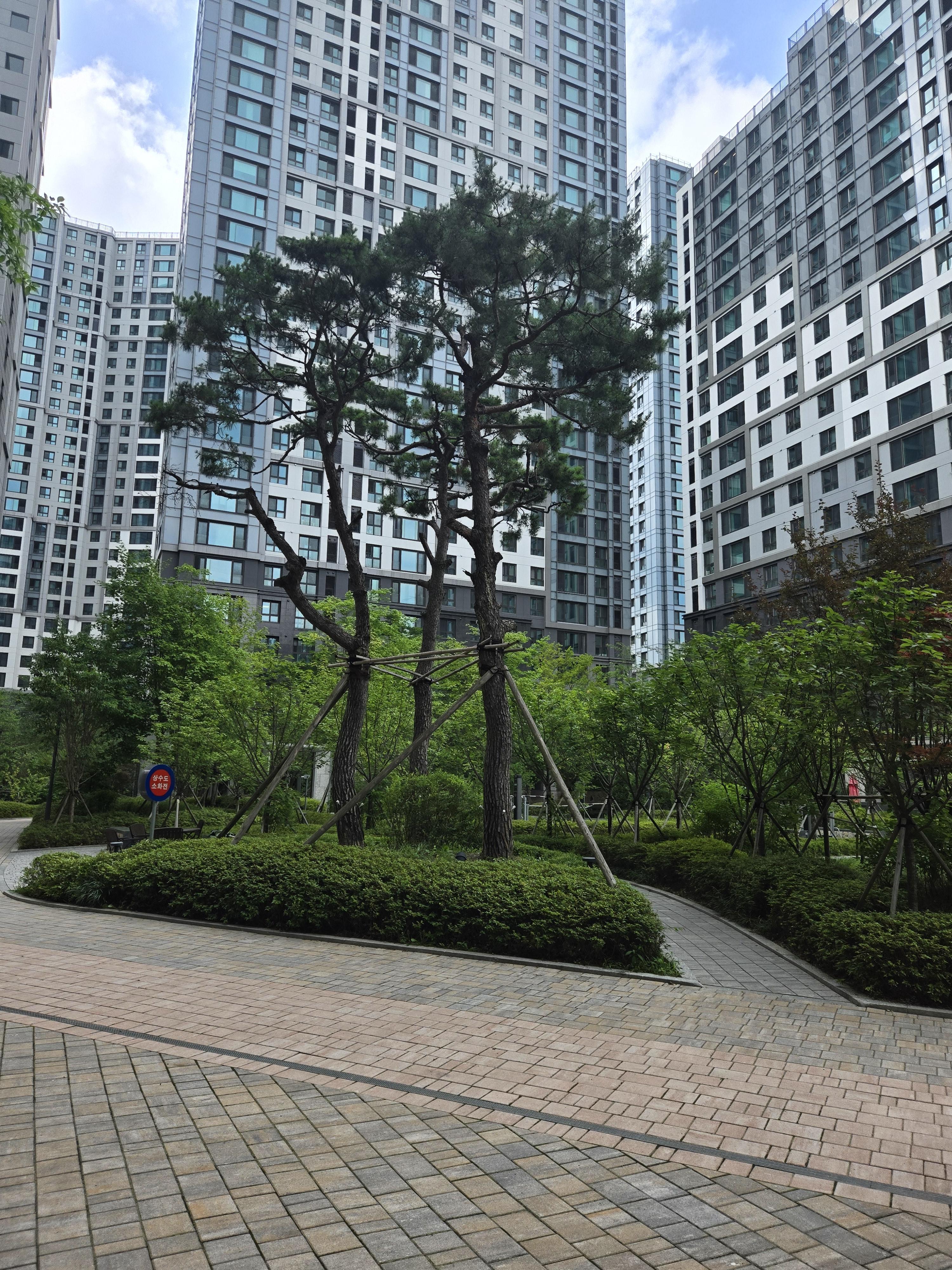 방배동 실거주자 사진 4