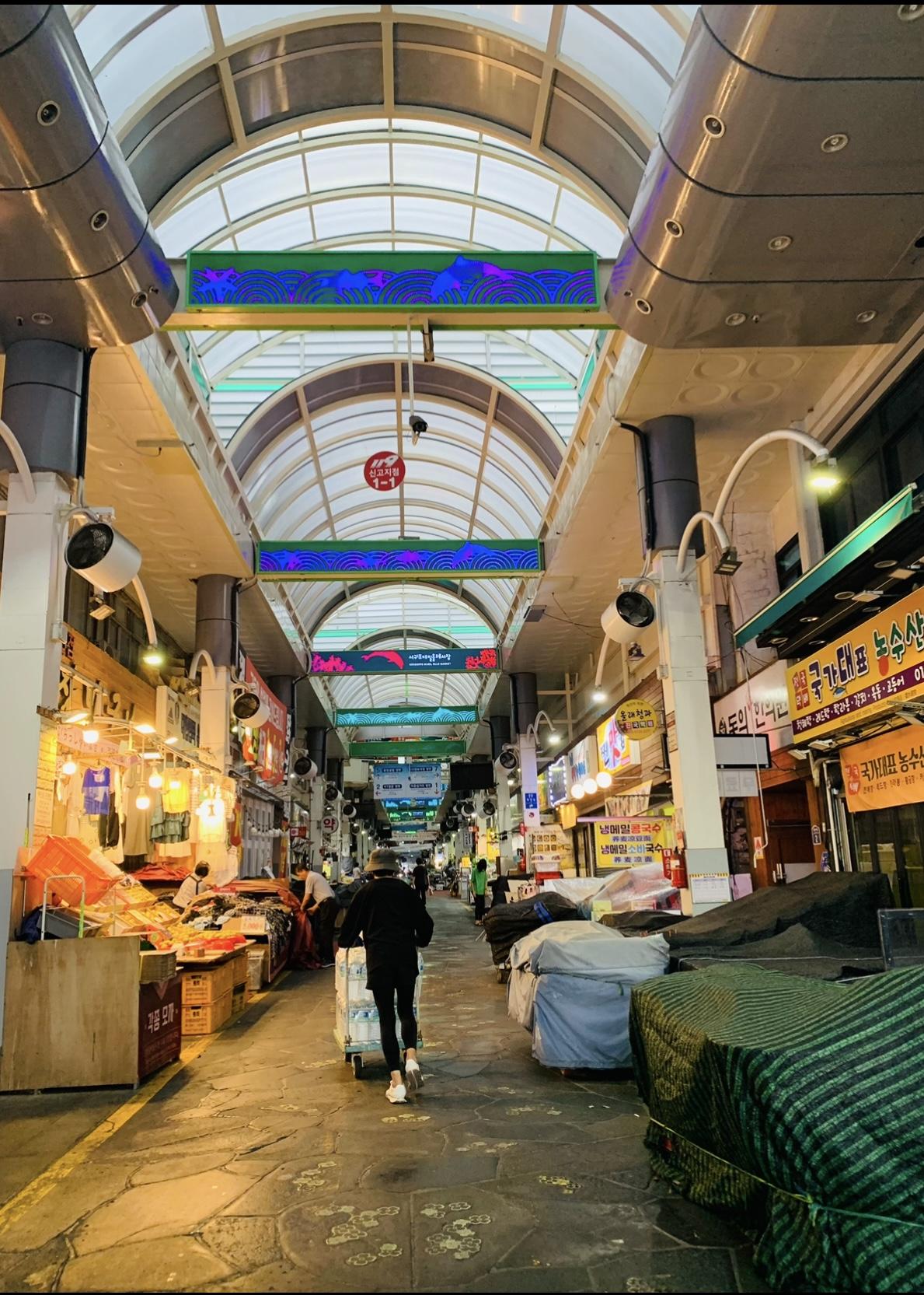 서귀동 실거주자 사진 6