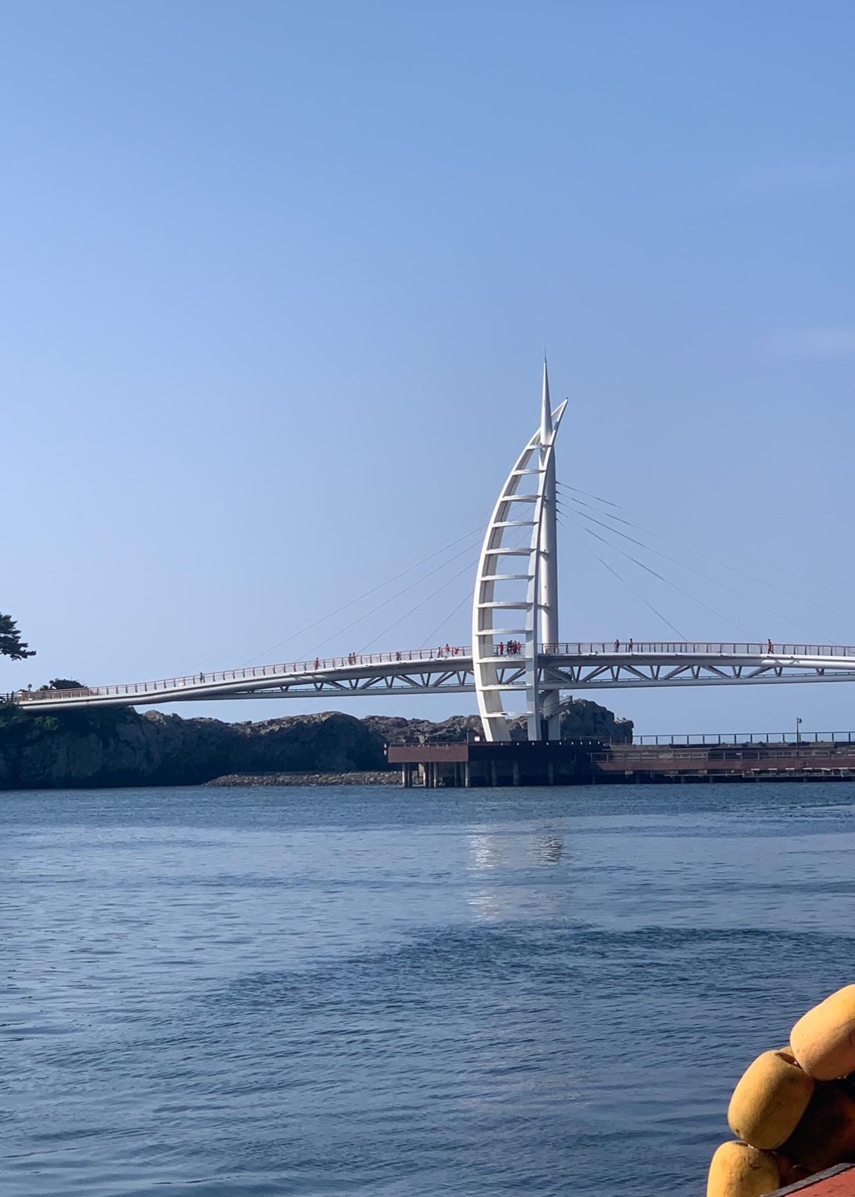 서귀동 실거주자 사진 7