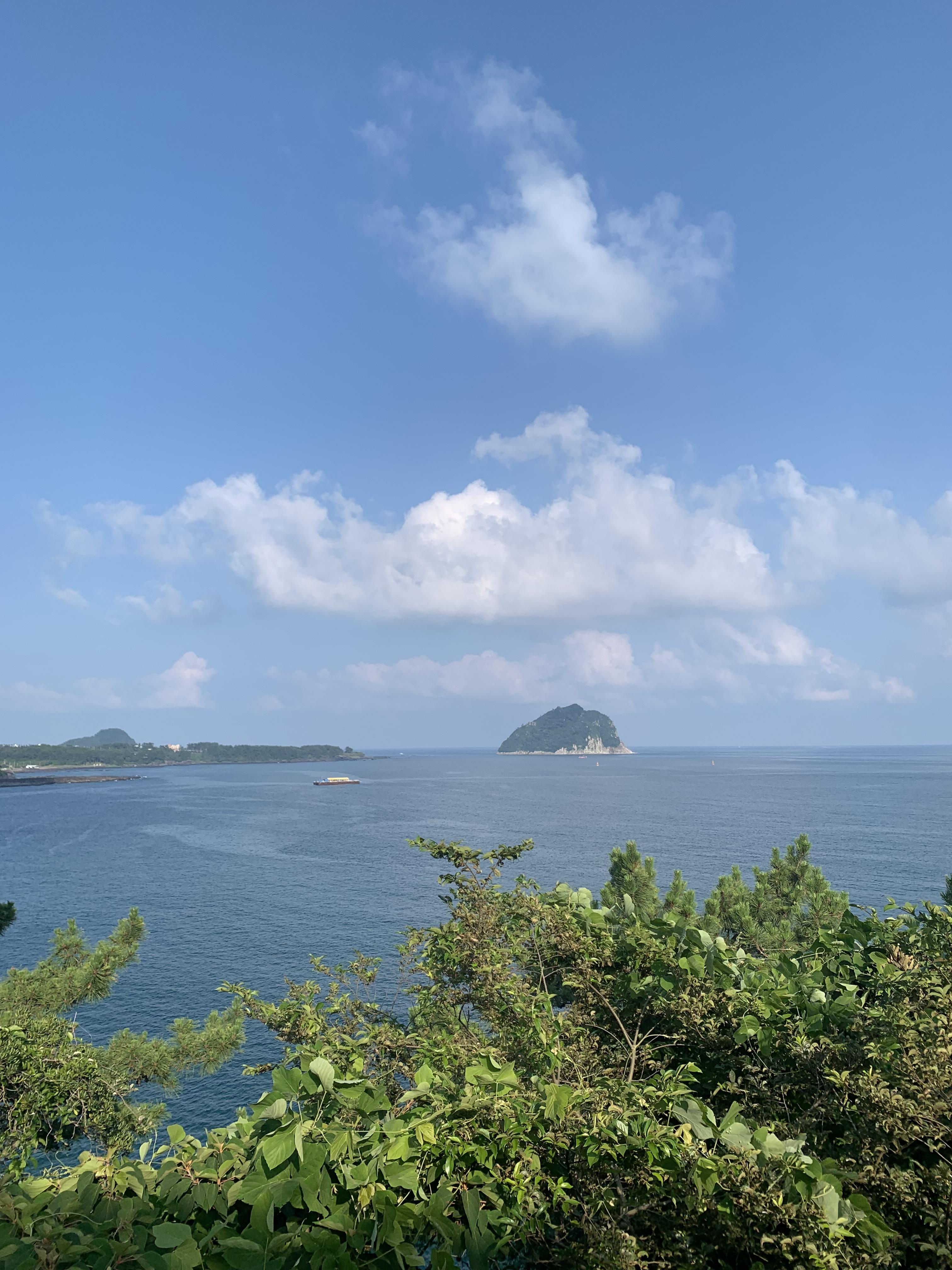 서귀동 실거주자 사진 2