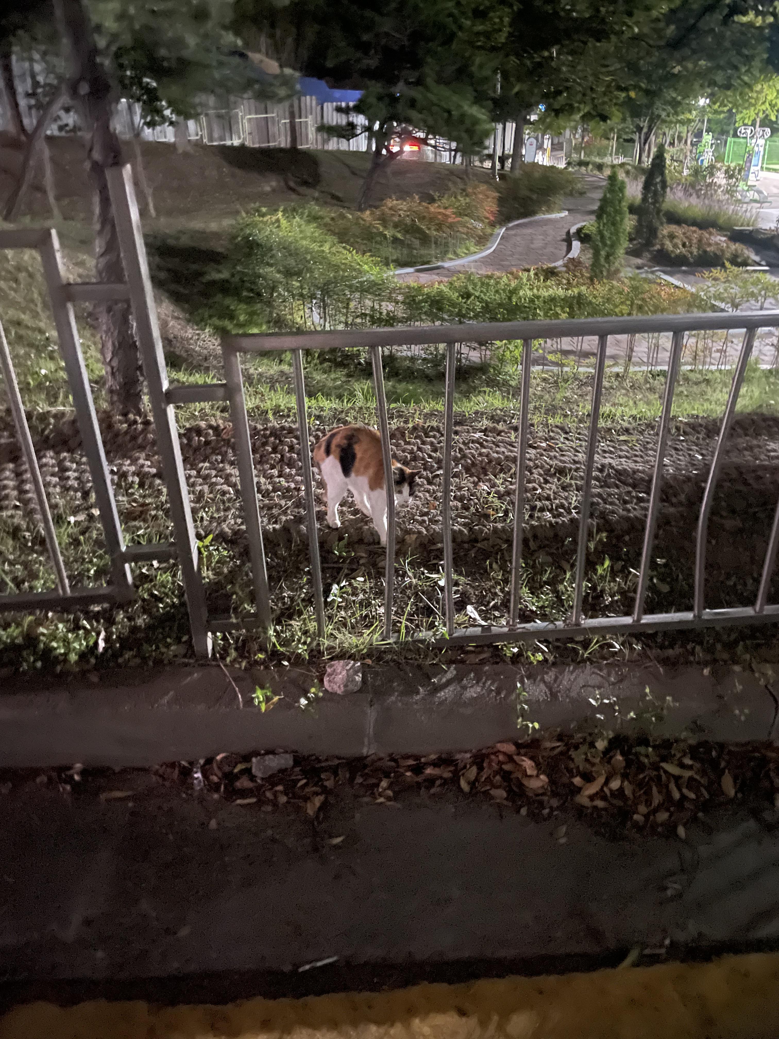 연일읍 실거주자 사진 2