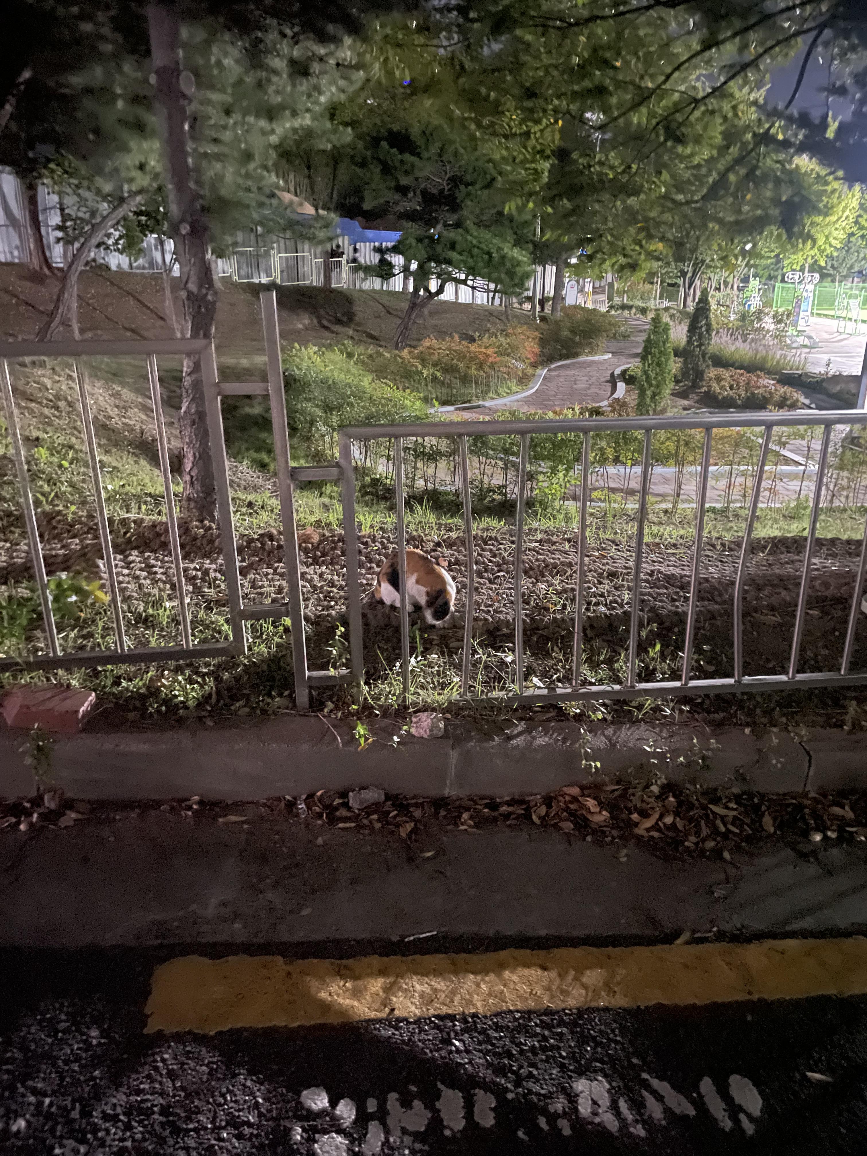 연일읍 실거주자 사진 3