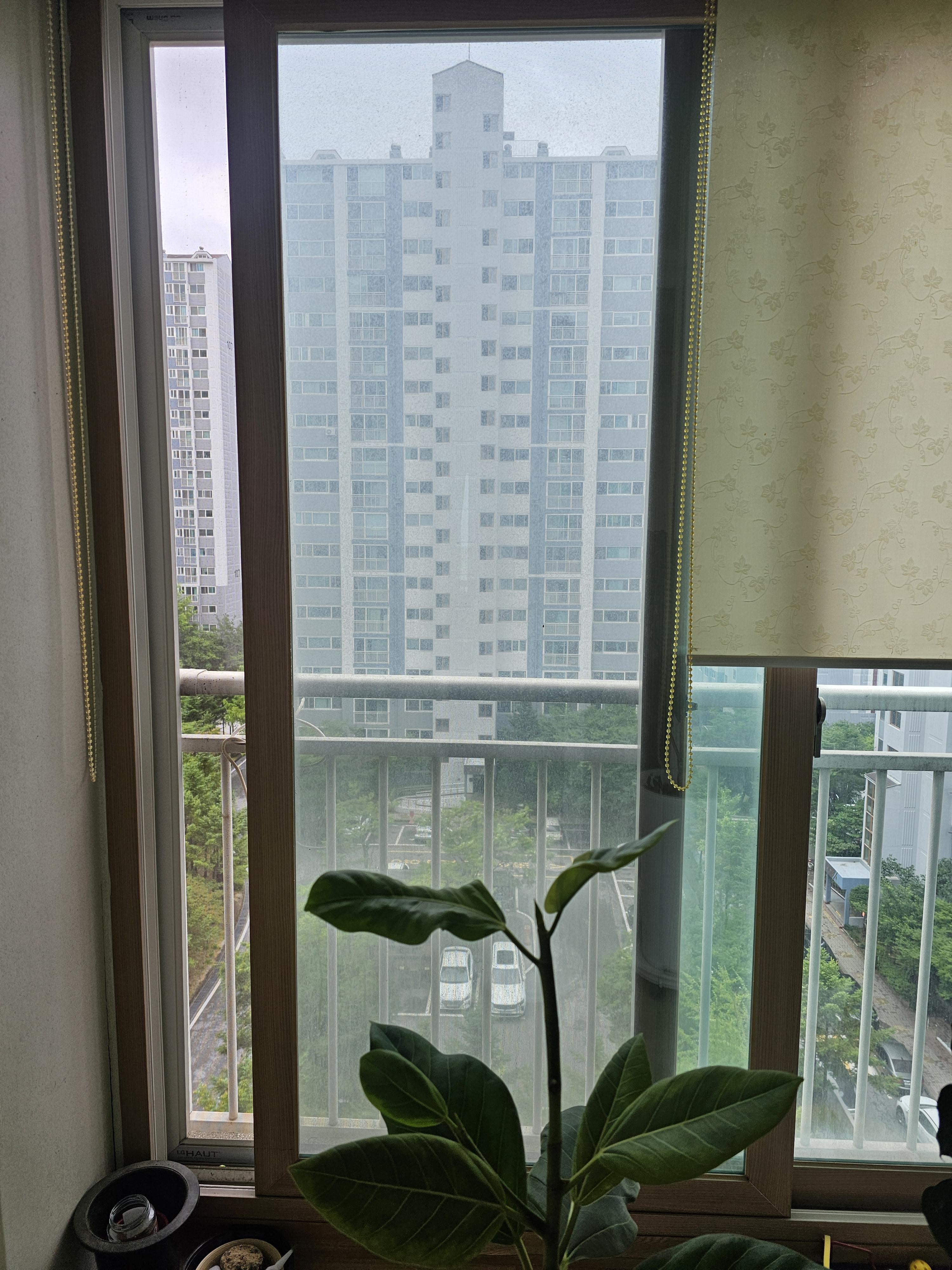 용두동 실거주자 사진 4
