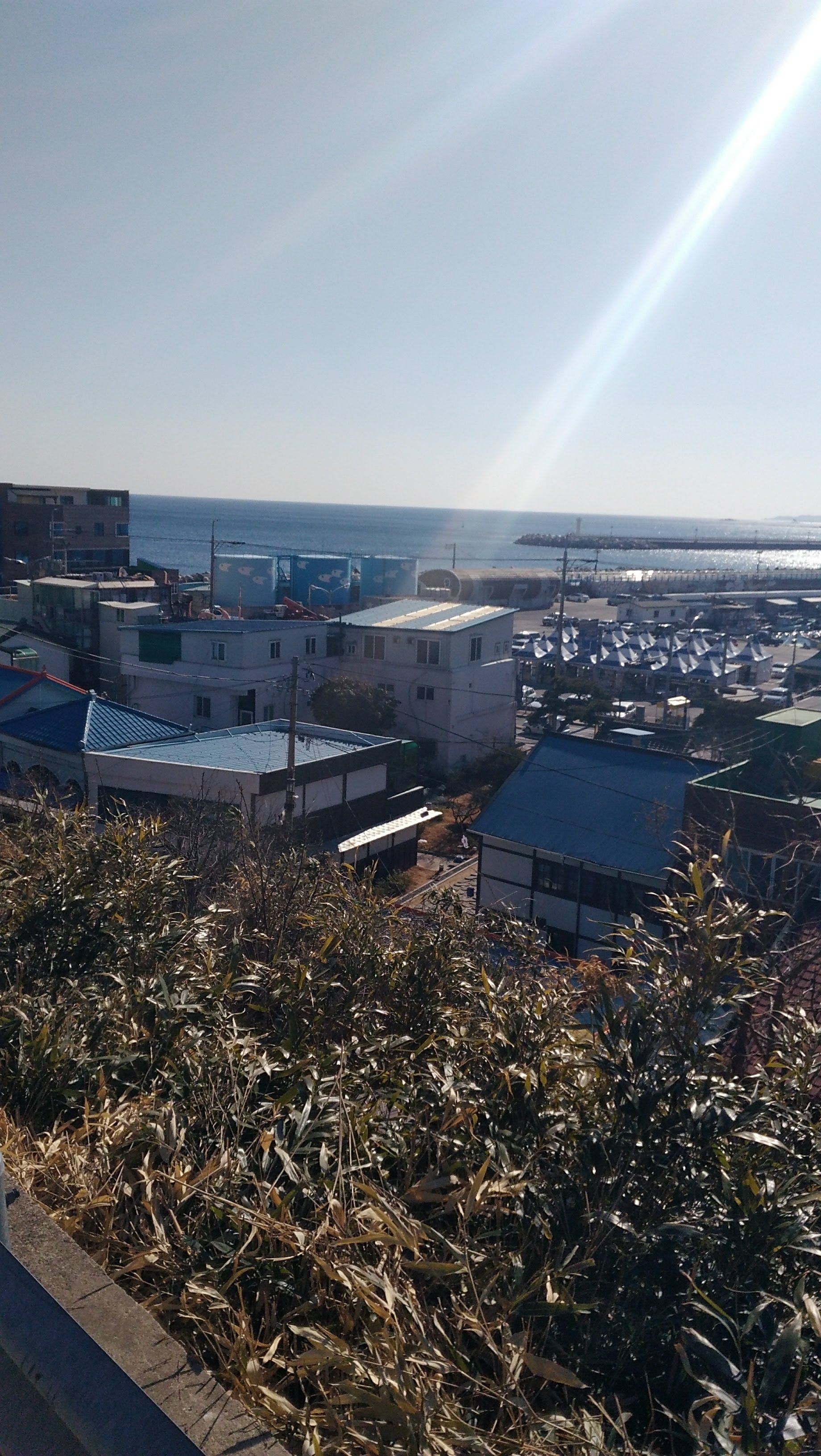 구룡포읍 실거주자 사진 2