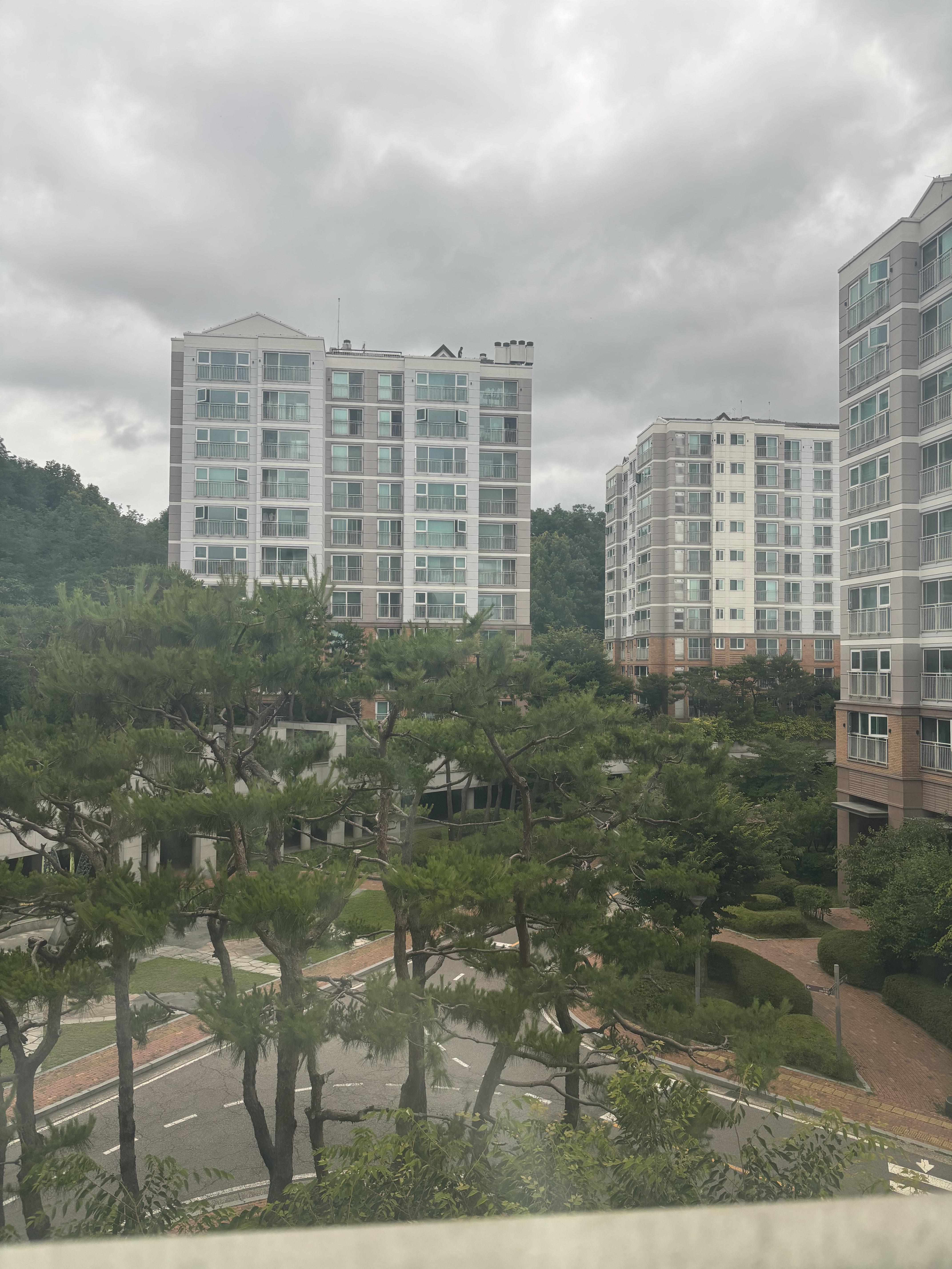 백현동 실거주자 사진 5