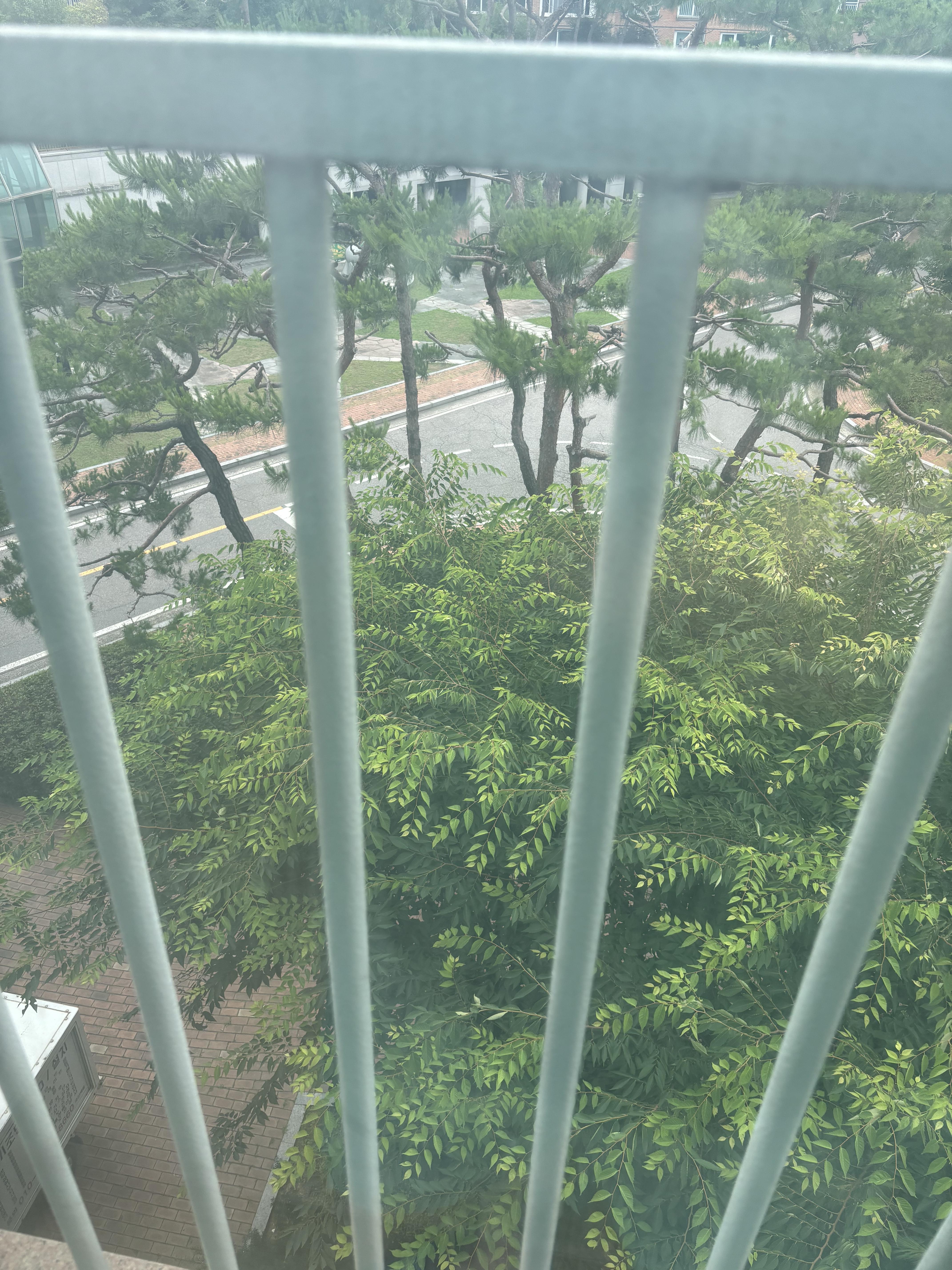 백현동 실거주자 사진 6