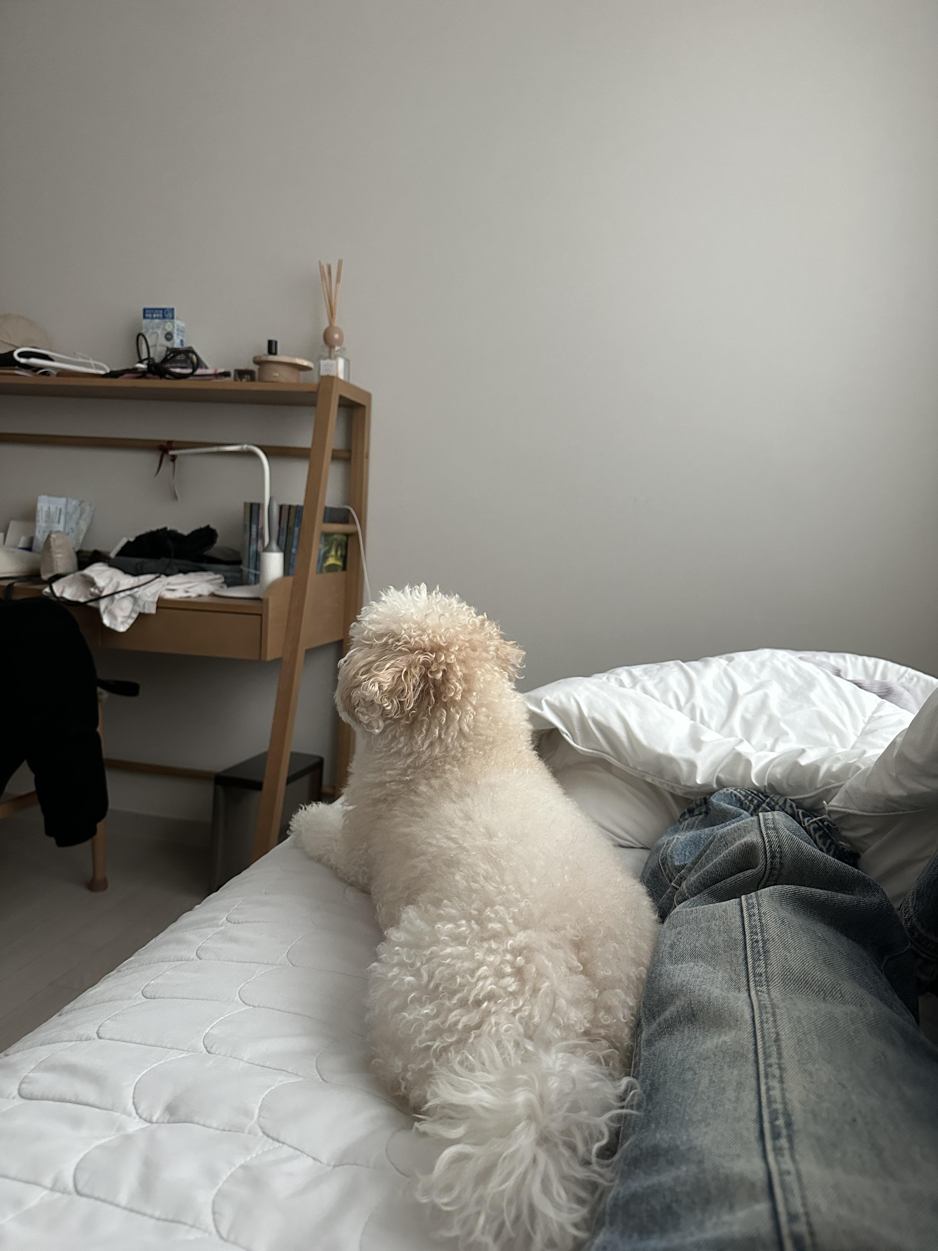 대봉동 실거주자 사진 4