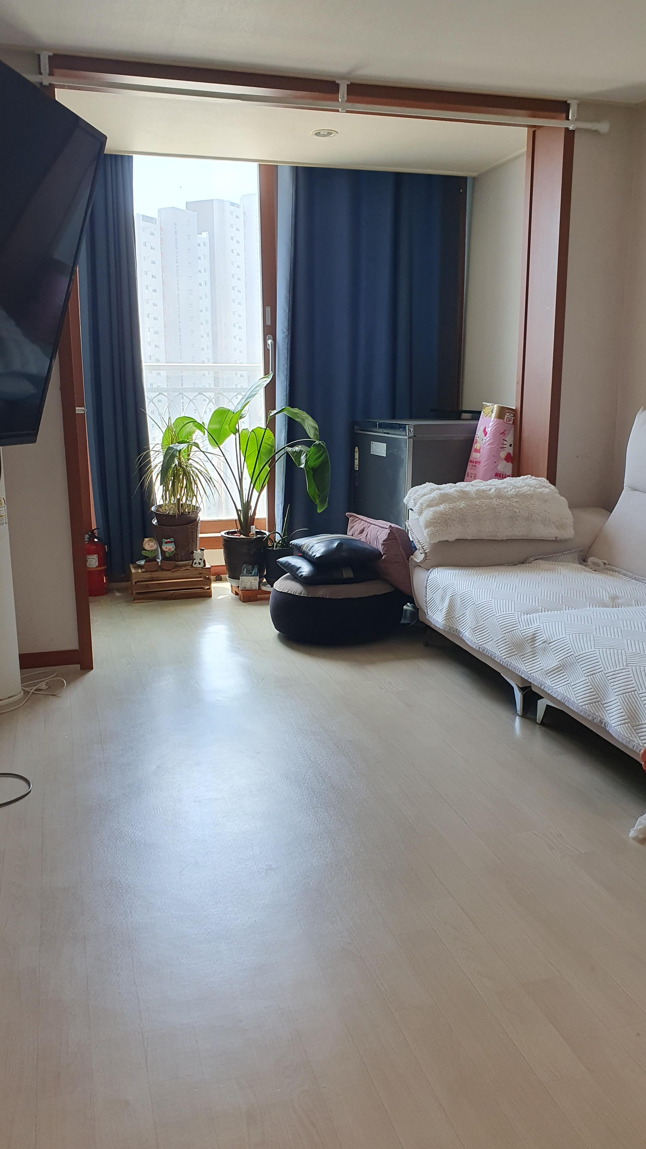 송학동 실거주자 사진 2