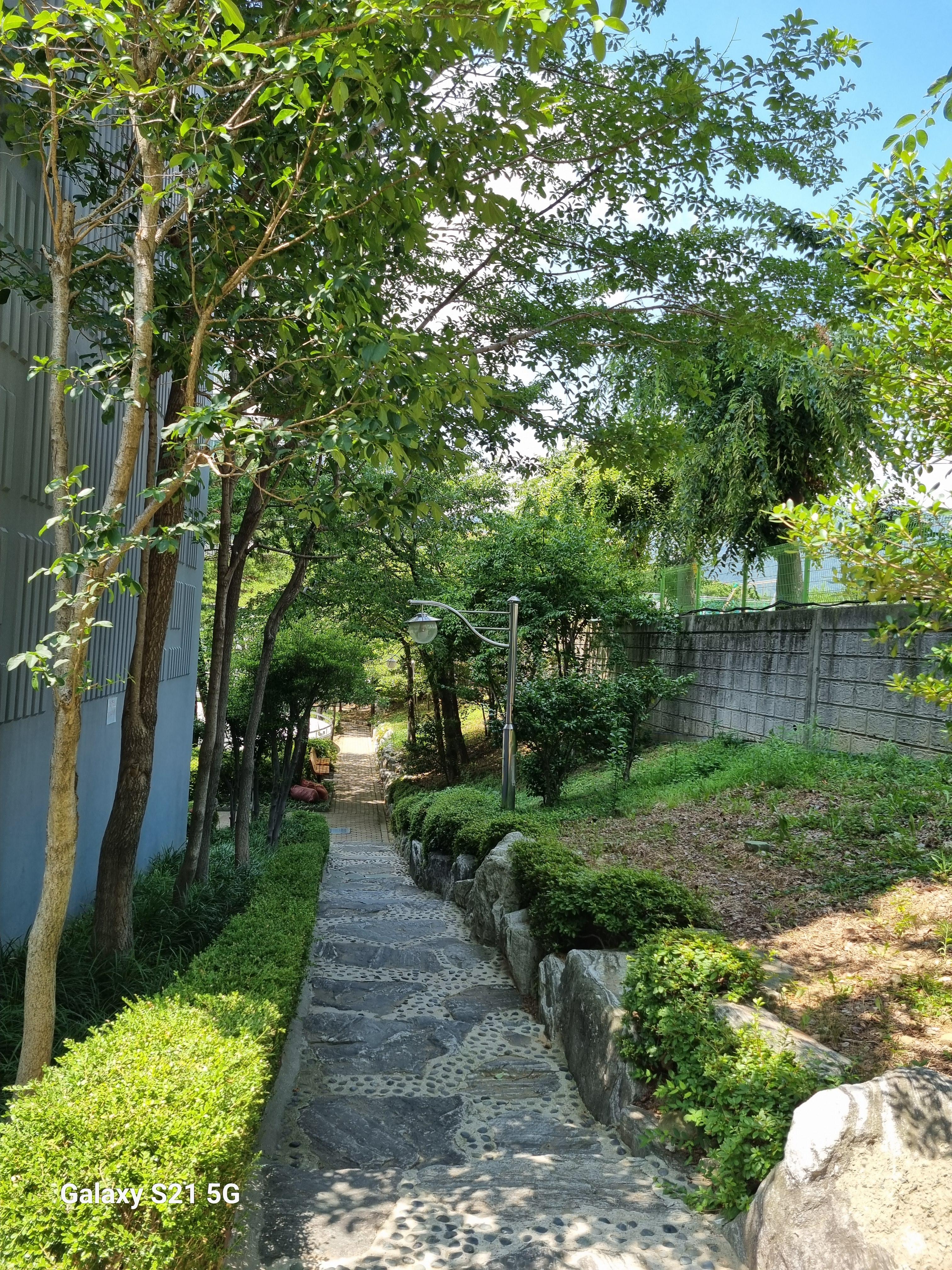 풍호동 실거주자 사진 1