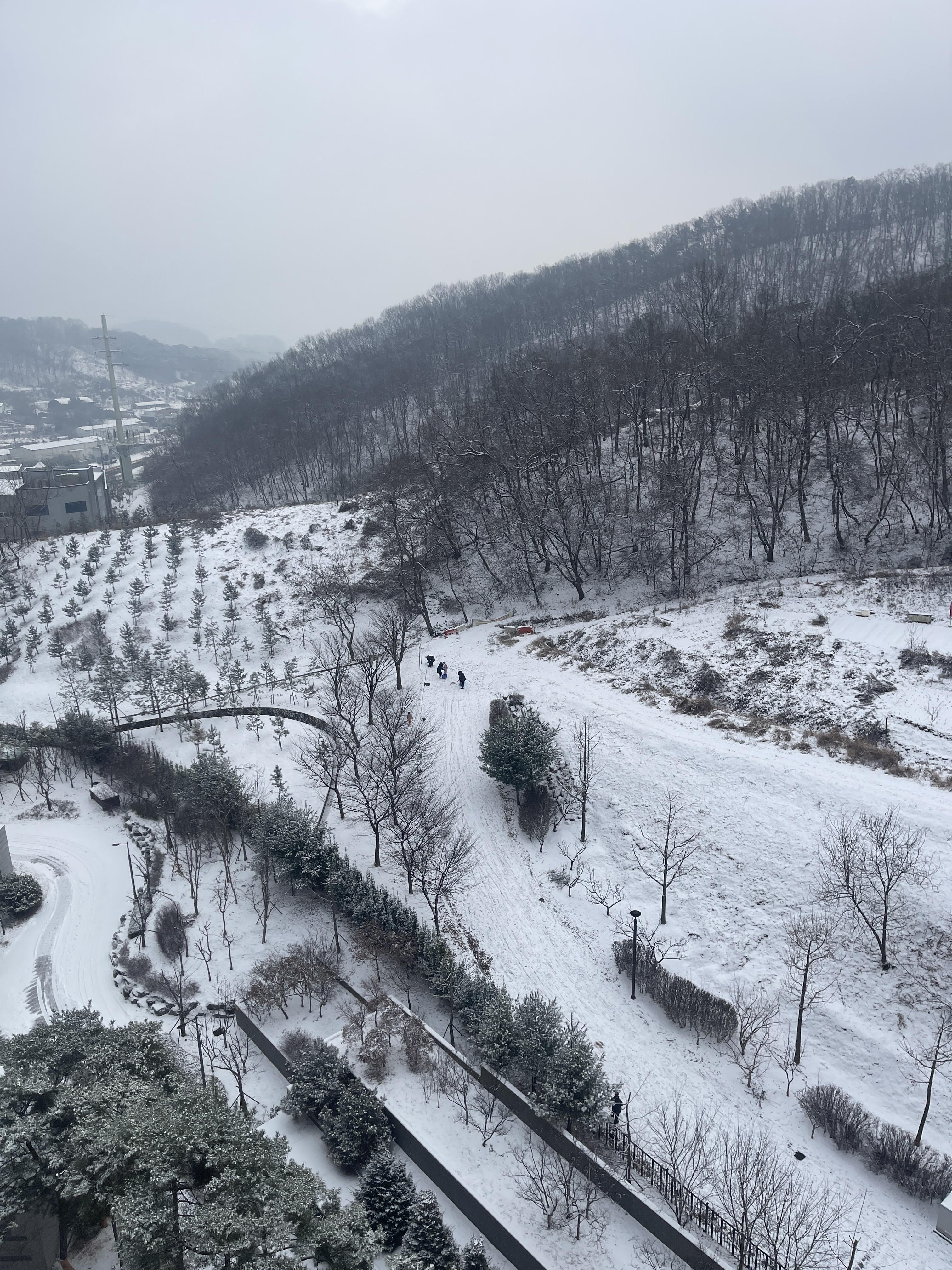 조남동 실거주자 사진 4