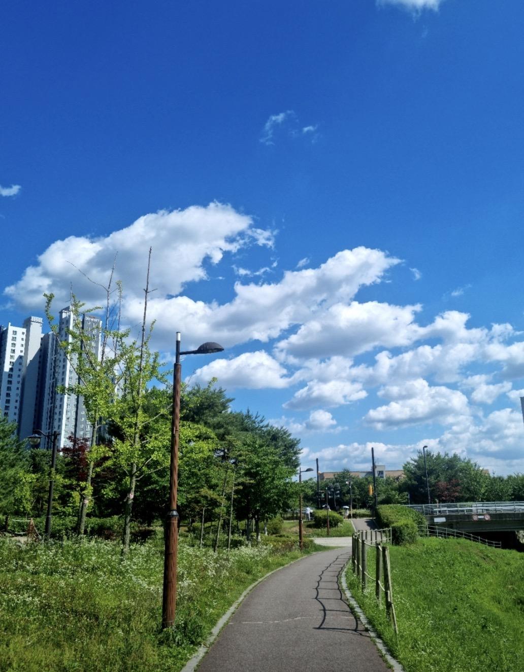 삼송동 실거주자 사진 3