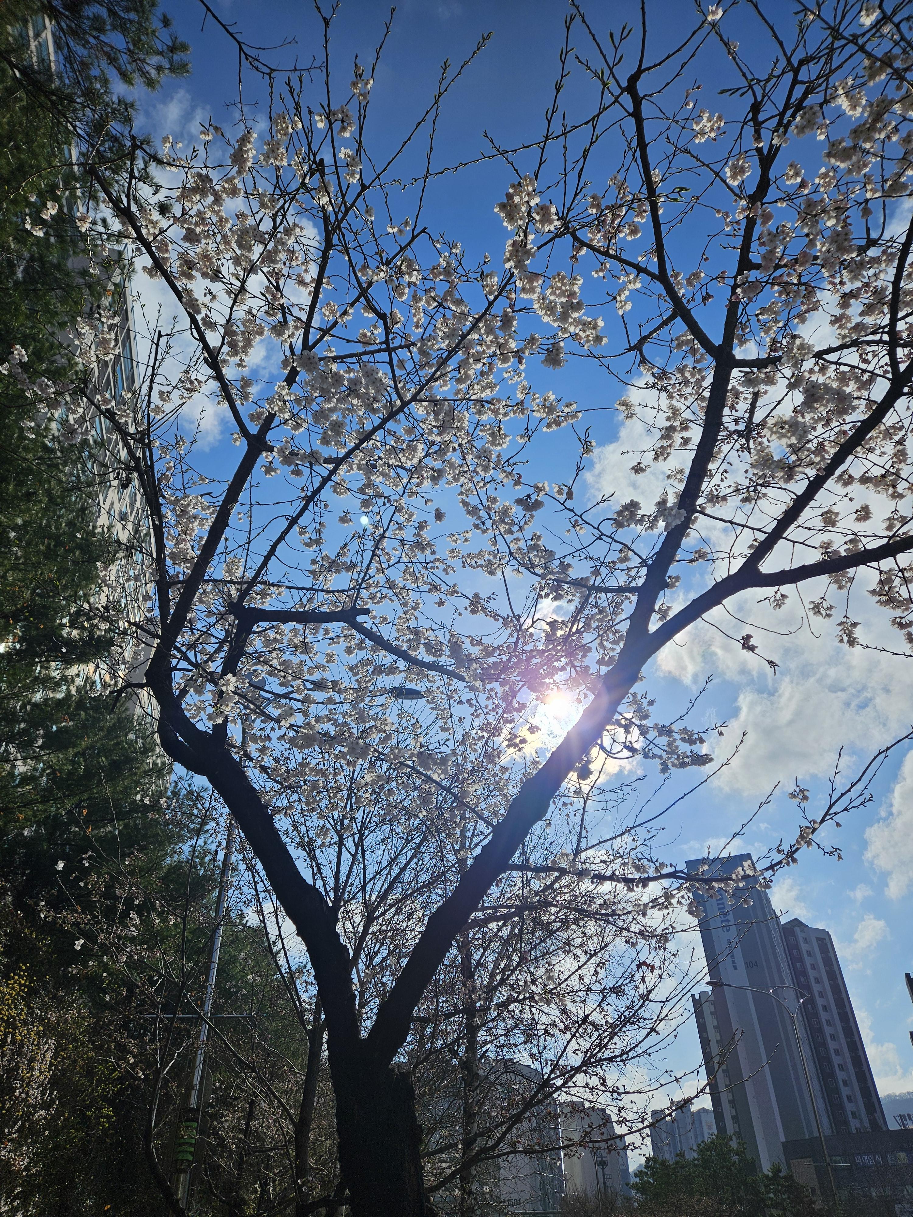 호평동 실거주자 사진 3