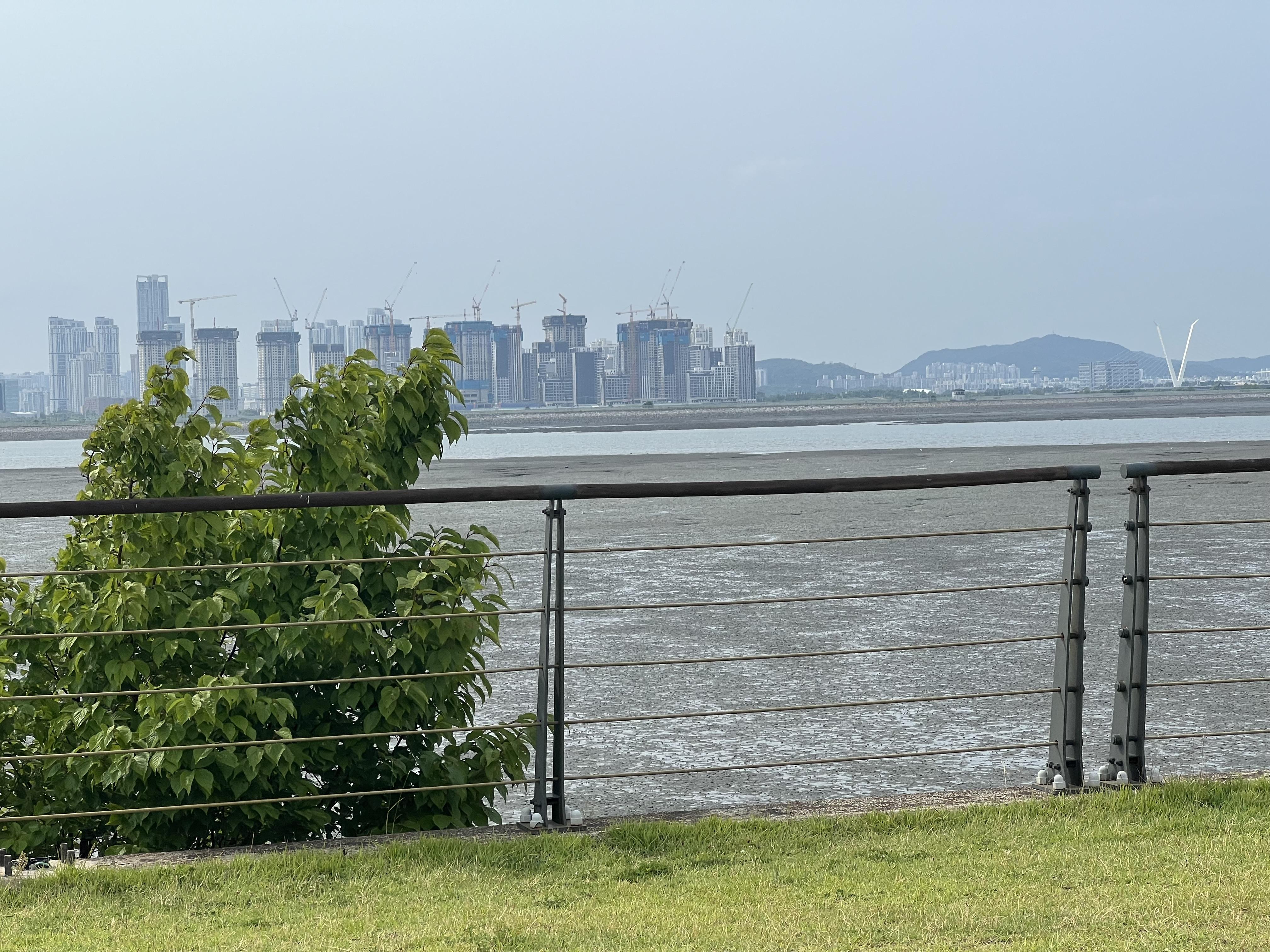 배곧동 실거주자 사진 7