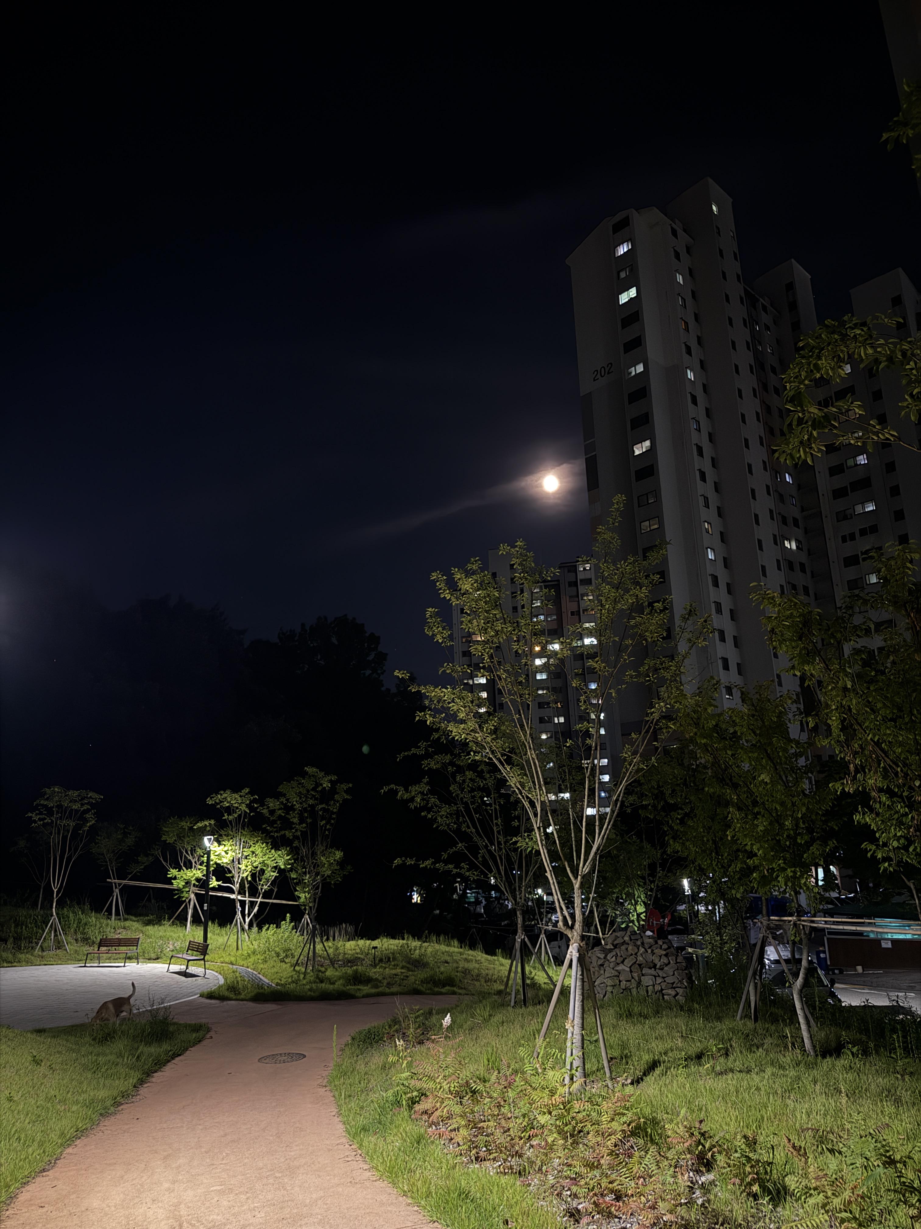 환호동 실거주자 사진 3