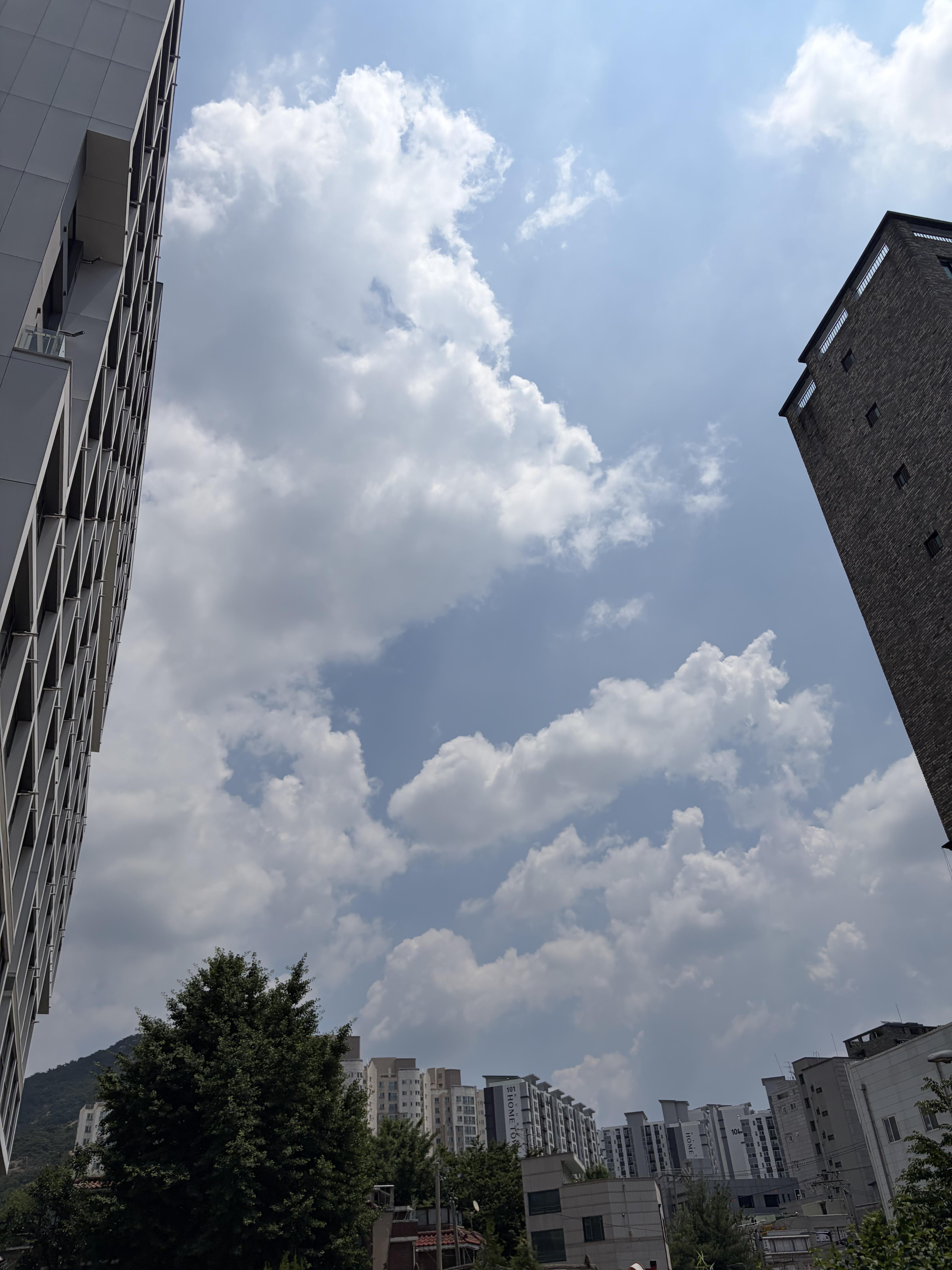 불광동 실거주자 사진 7