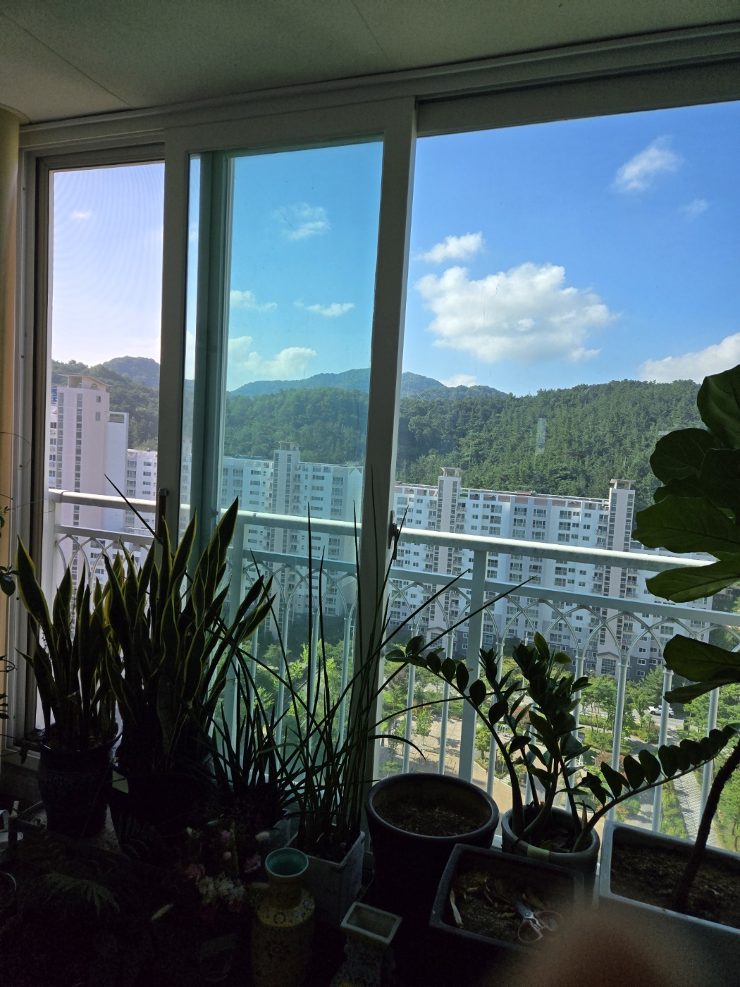 옥수동 실거주자 사진 4