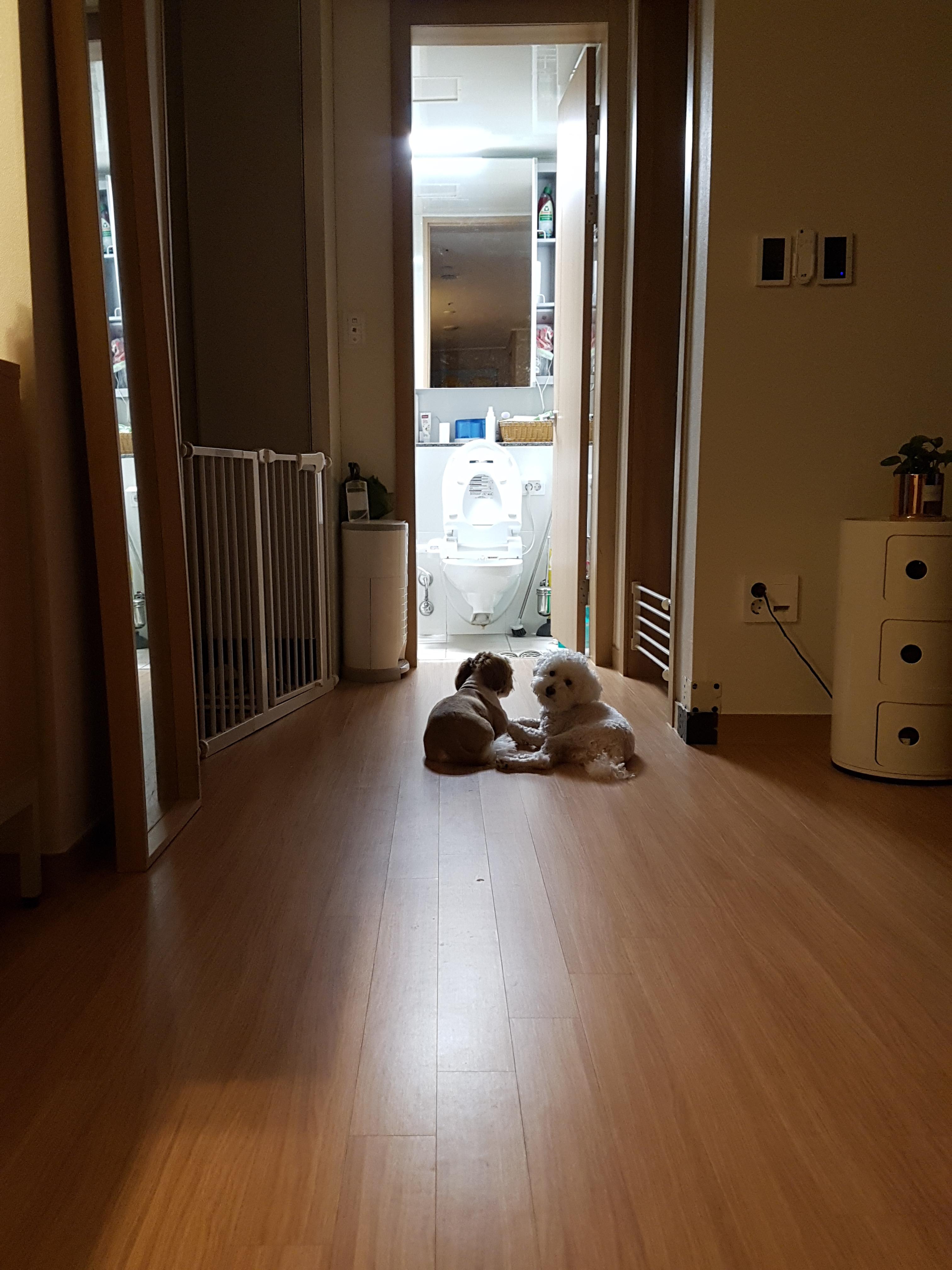 아현동 실거주자 사진 3