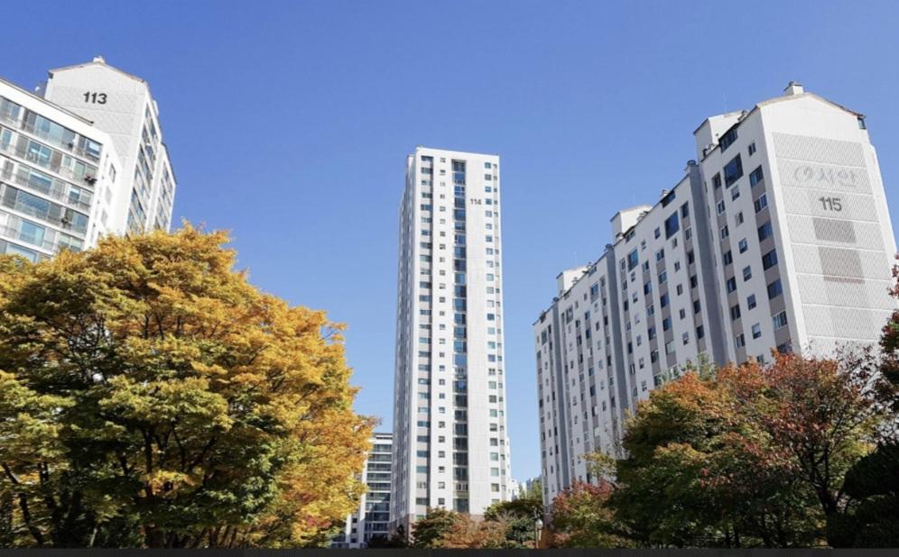 수내동 실거주자 사진 4