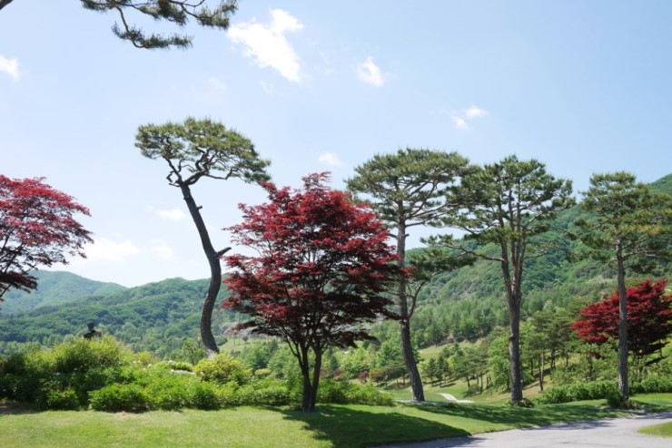 남사읍 실거주자 사진 3