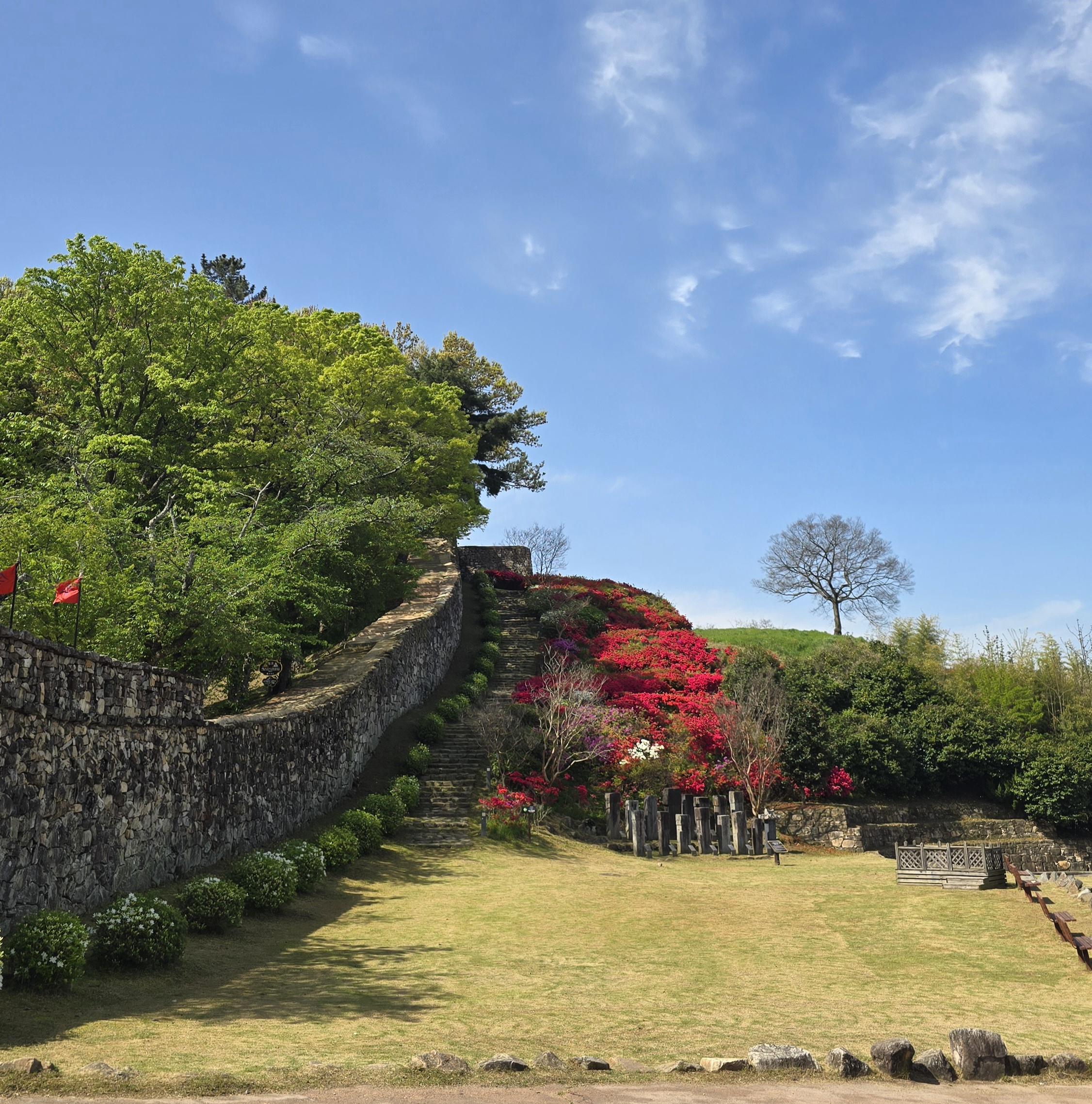 고창읍 실거주자 사진 8