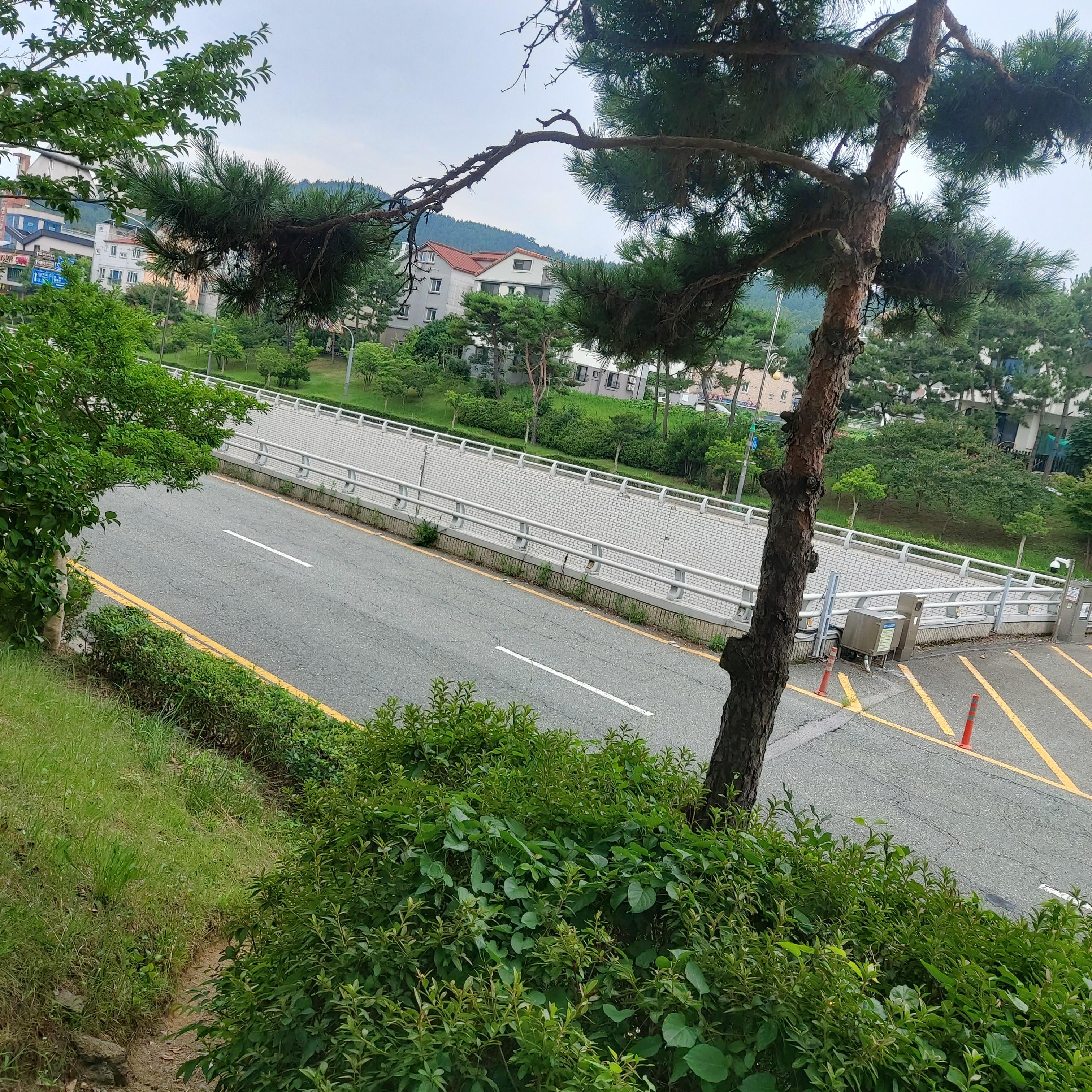 삼향읍 실거주자 사진 5