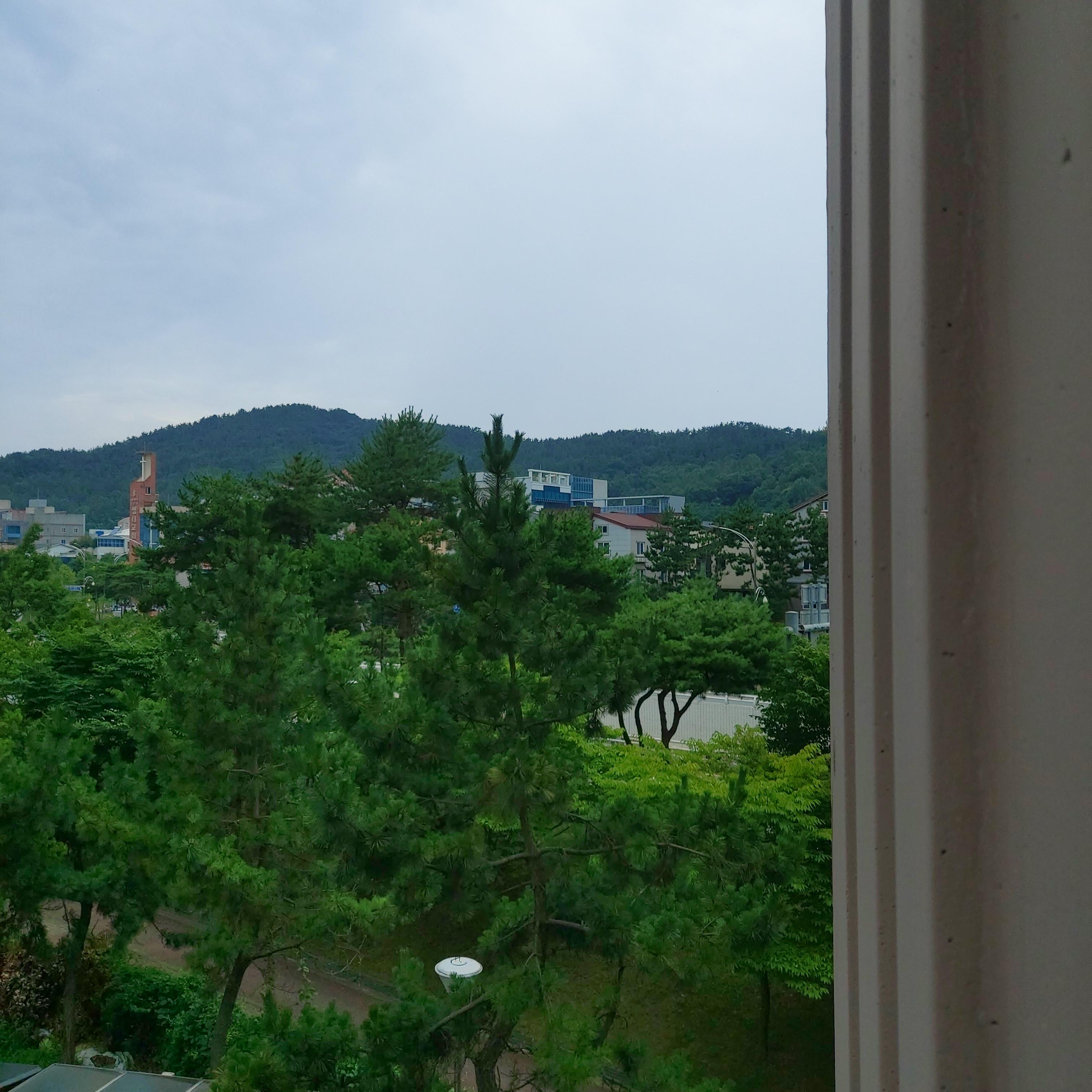 삼향읍 실거주자 사진 8