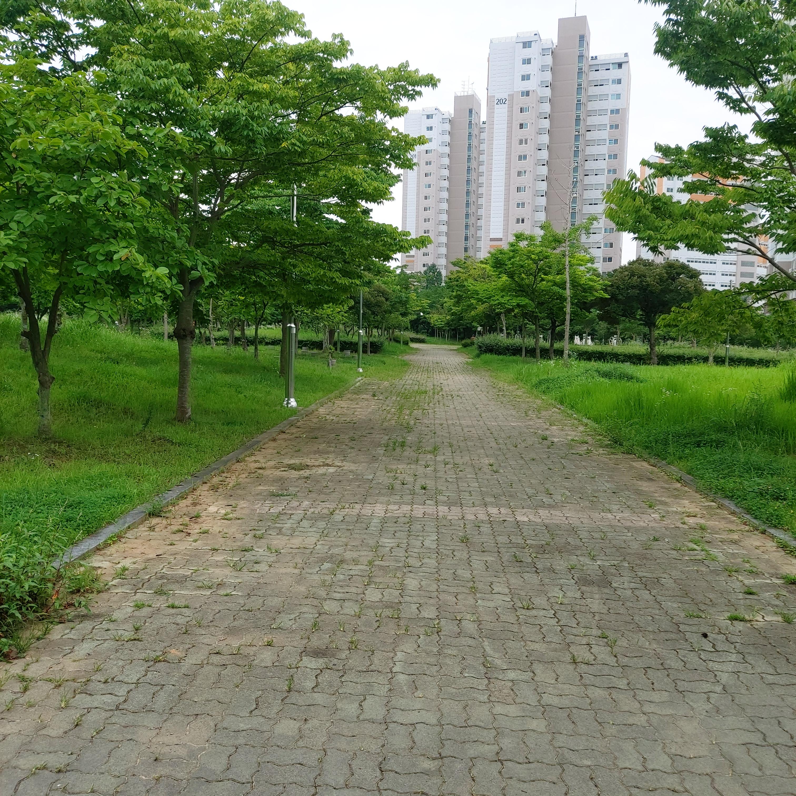 삼향읍 실거주자 사진 3