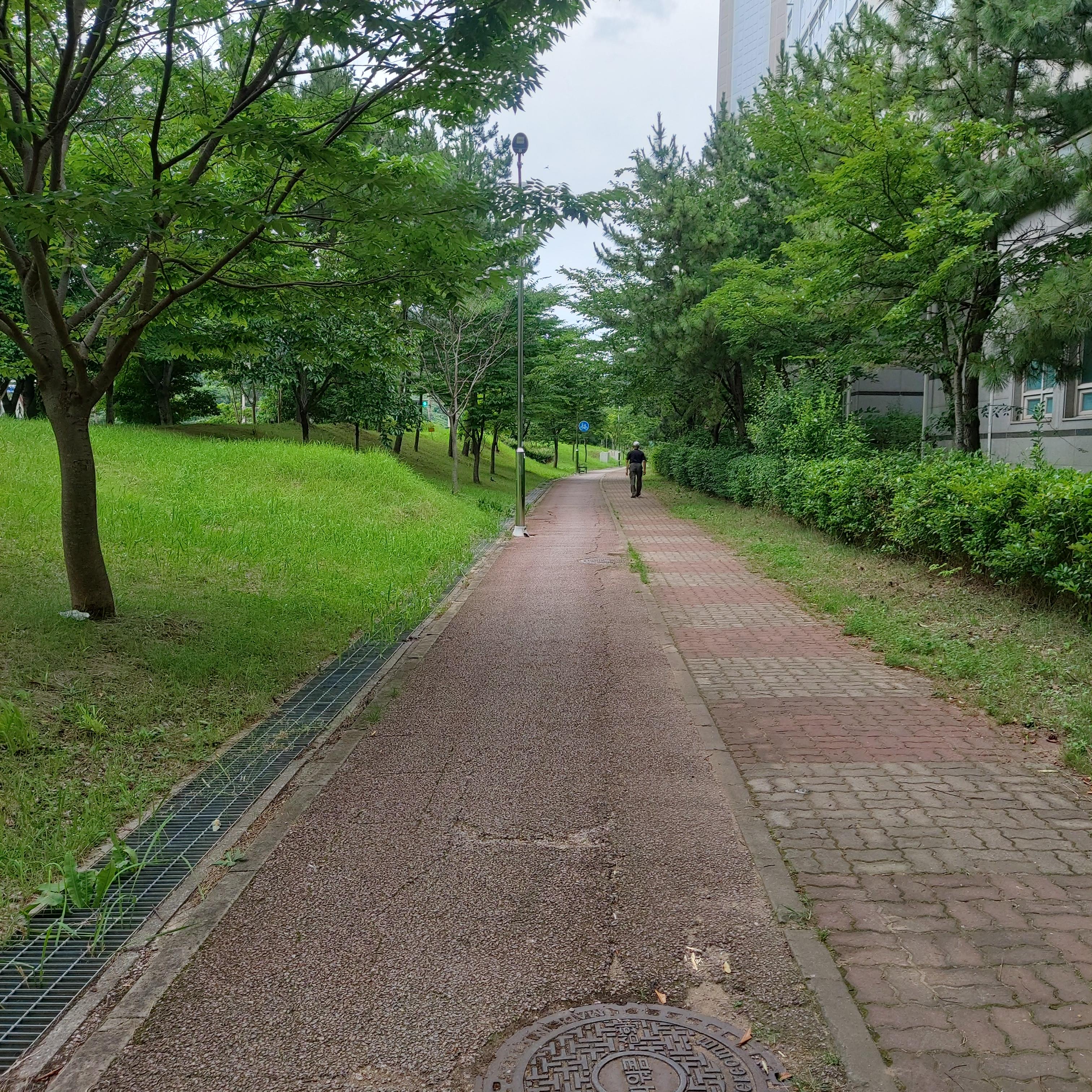 삼향읍 실거주자 사진 2