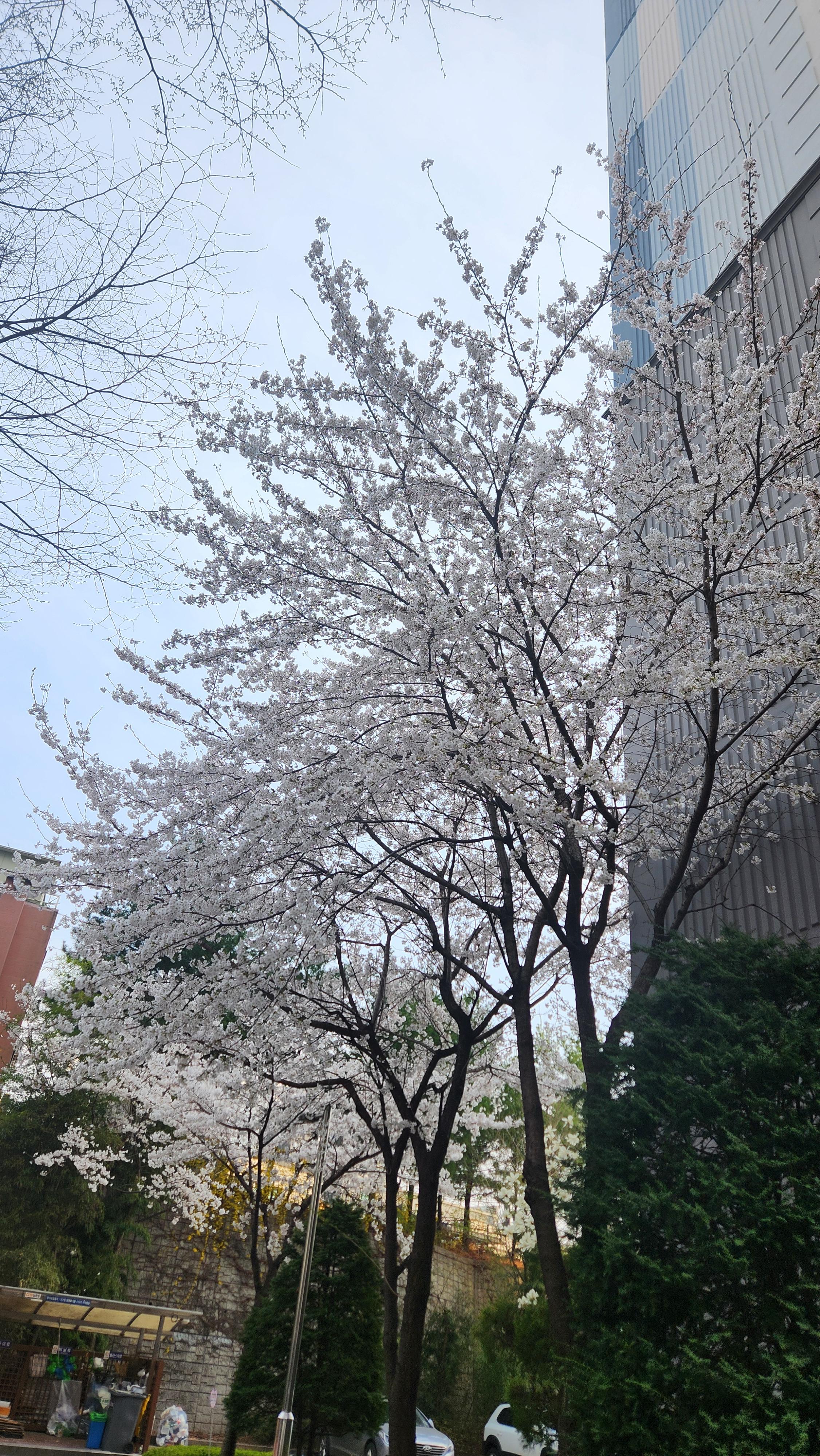 요선동 실거주자 사진 2
