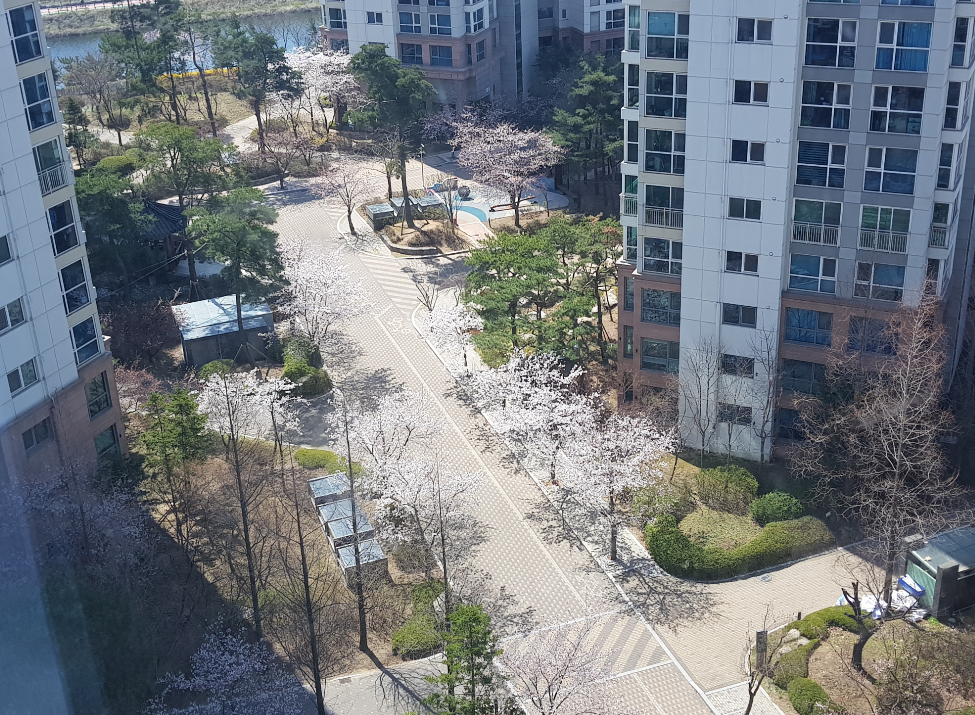 청라동 실거주자 사진 7