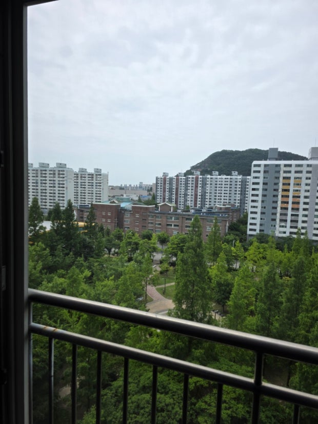 내동 실거주자 사진 5