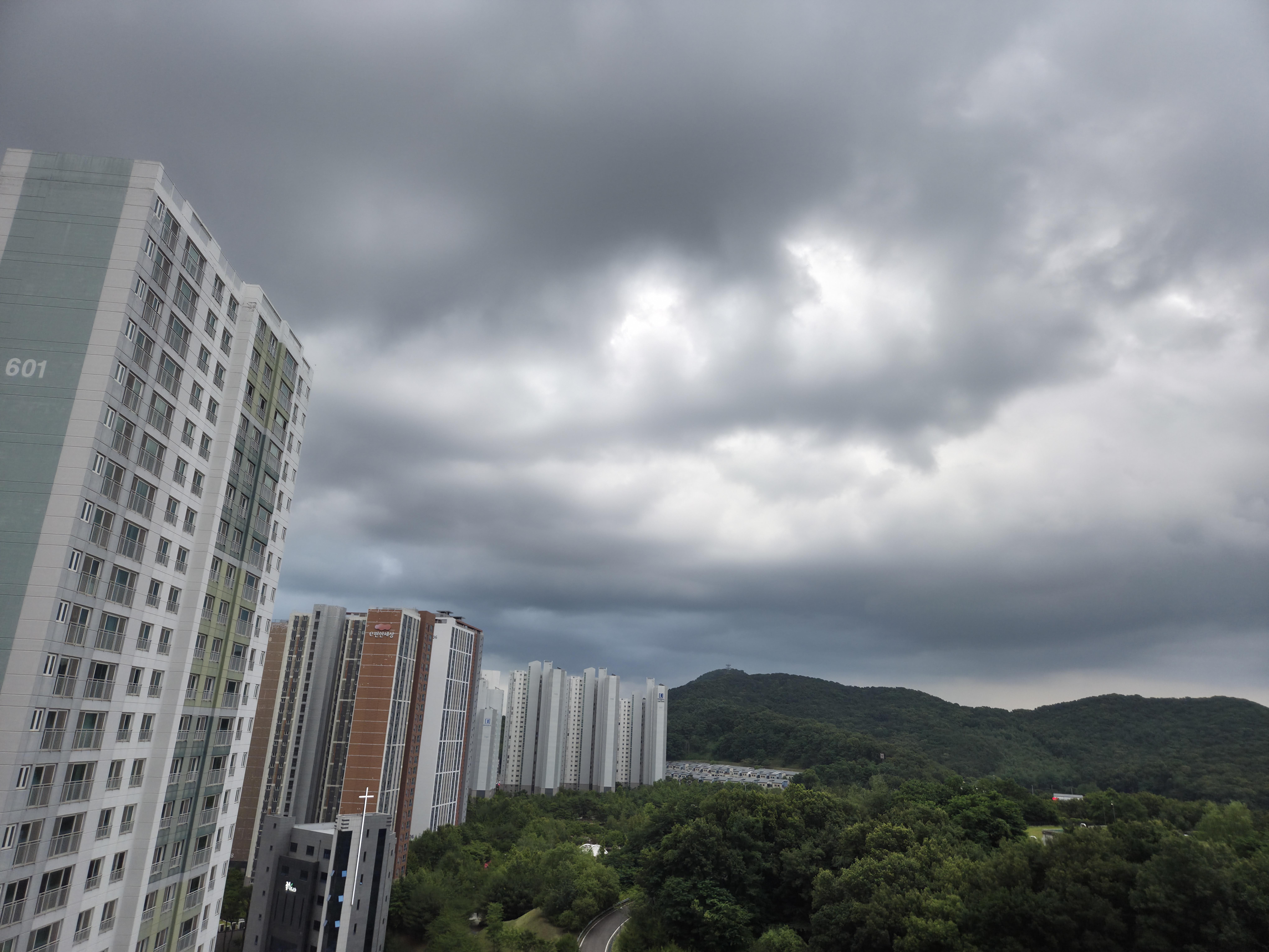 마산동 실거주자 사진 3