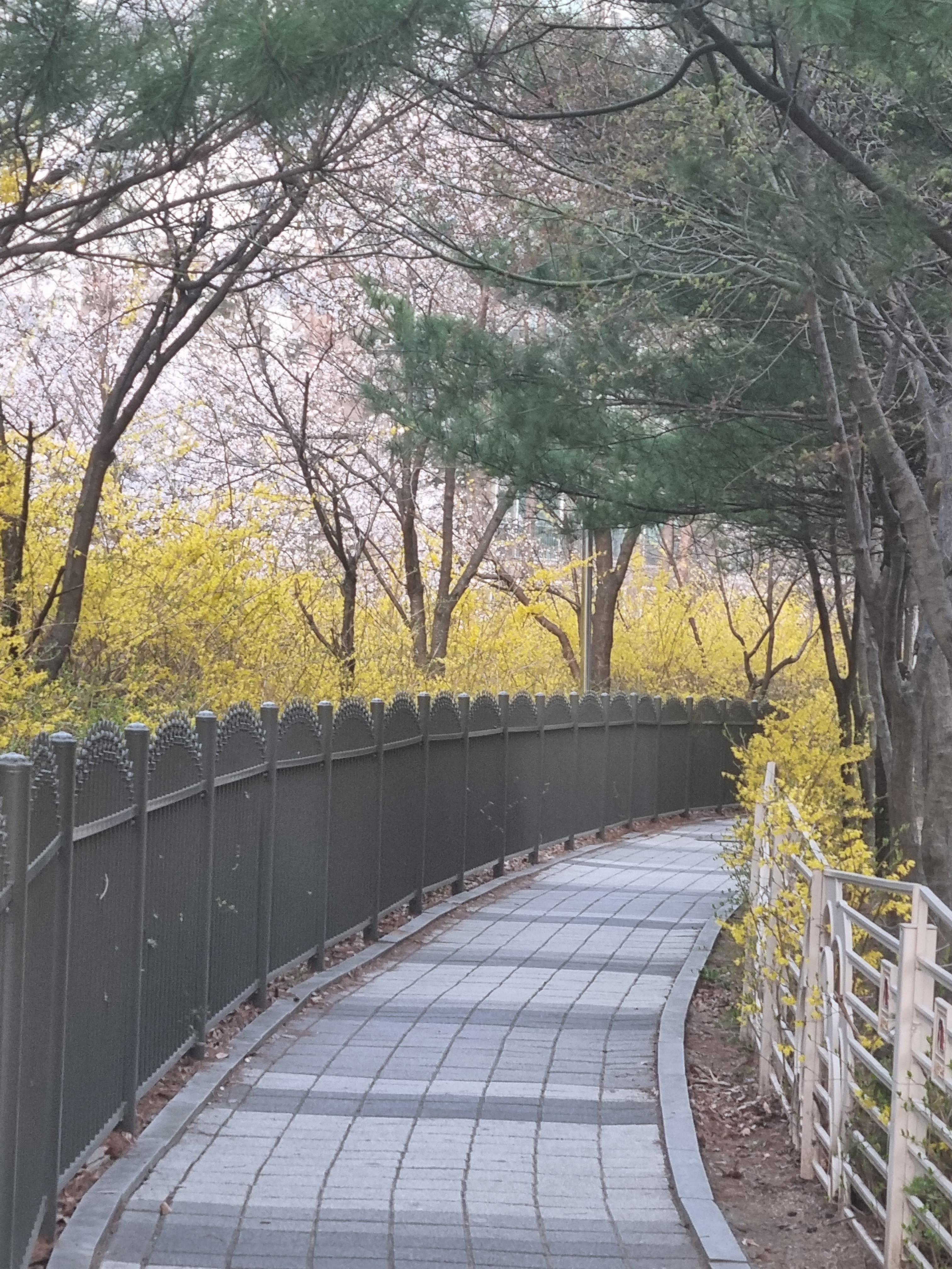 산남동 실거주자 사진 1