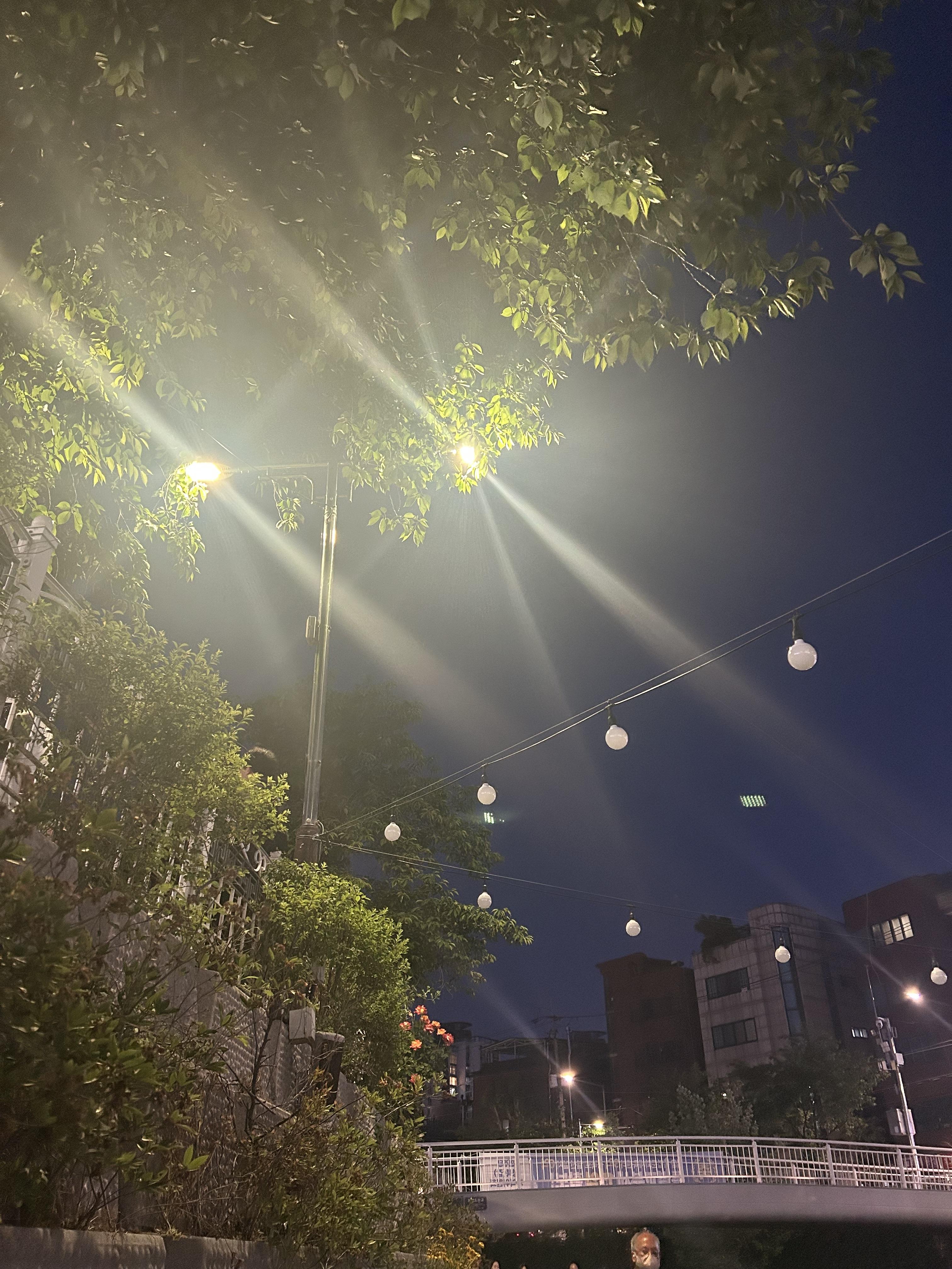 삼선동2가 실거주자 사진 5