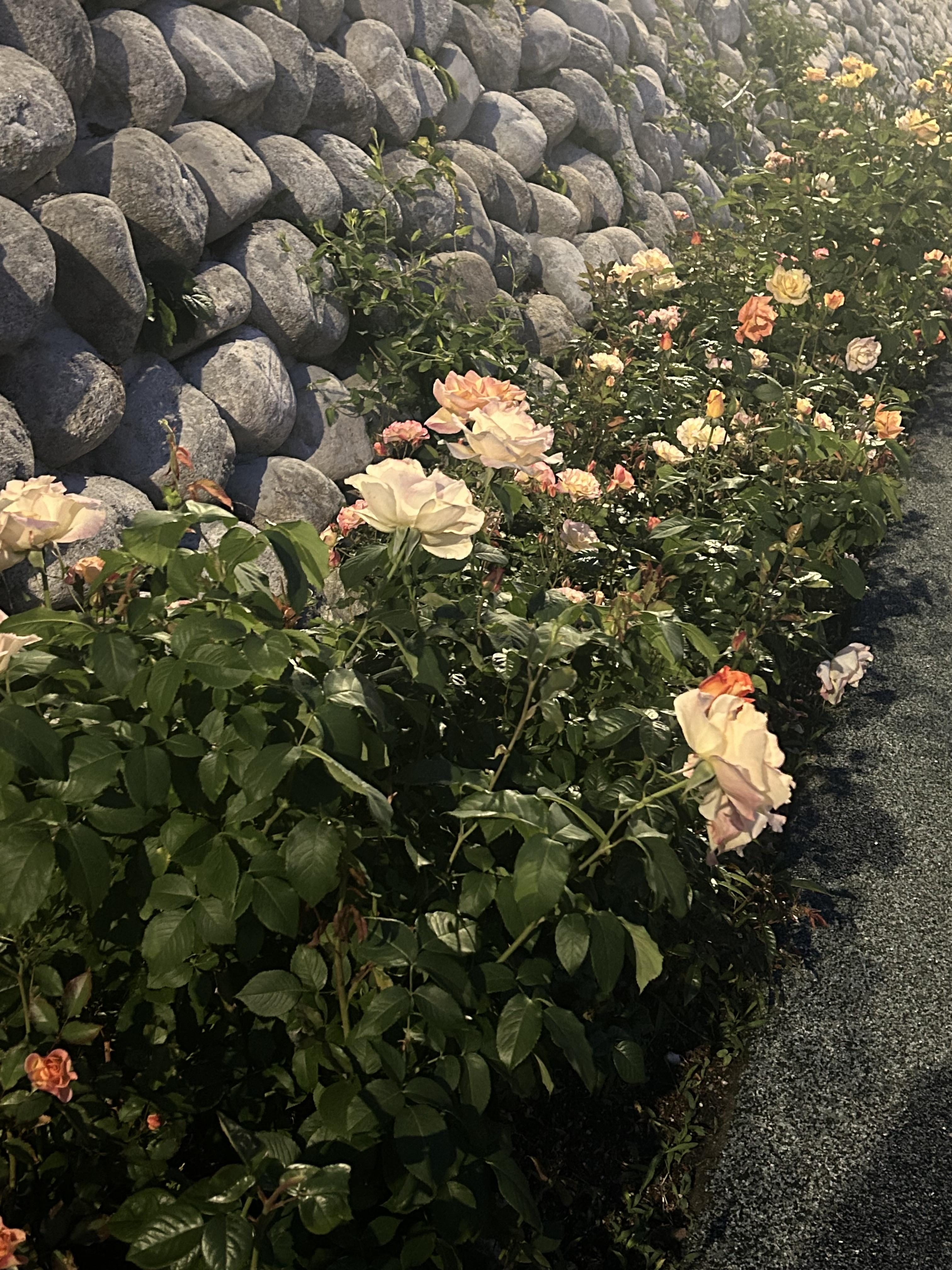 삼선동2가 실거주자 사진 4