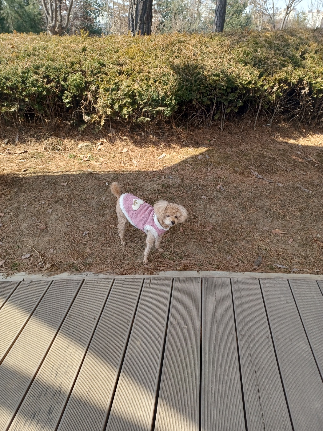 장안동 실거주자 사진 4