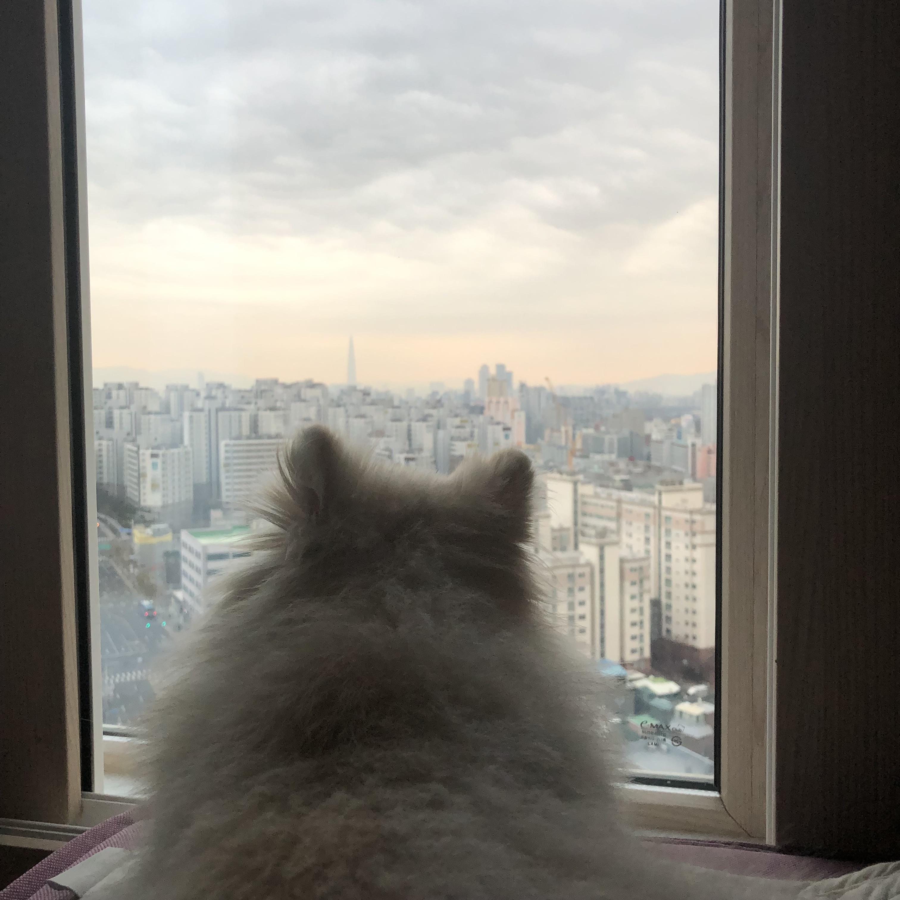 전농동 실거주자 사진 5