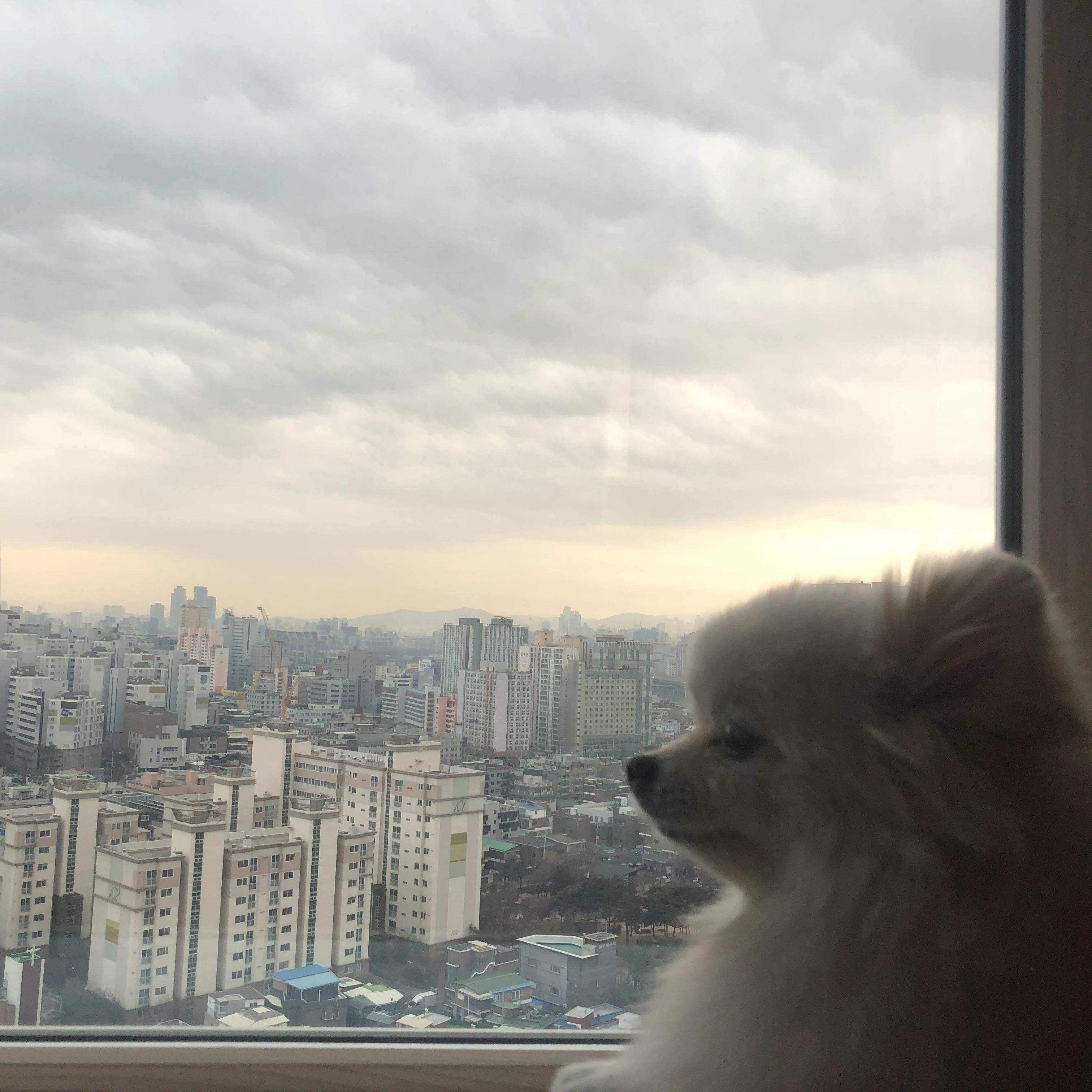 전농동 실거주자 사진 4