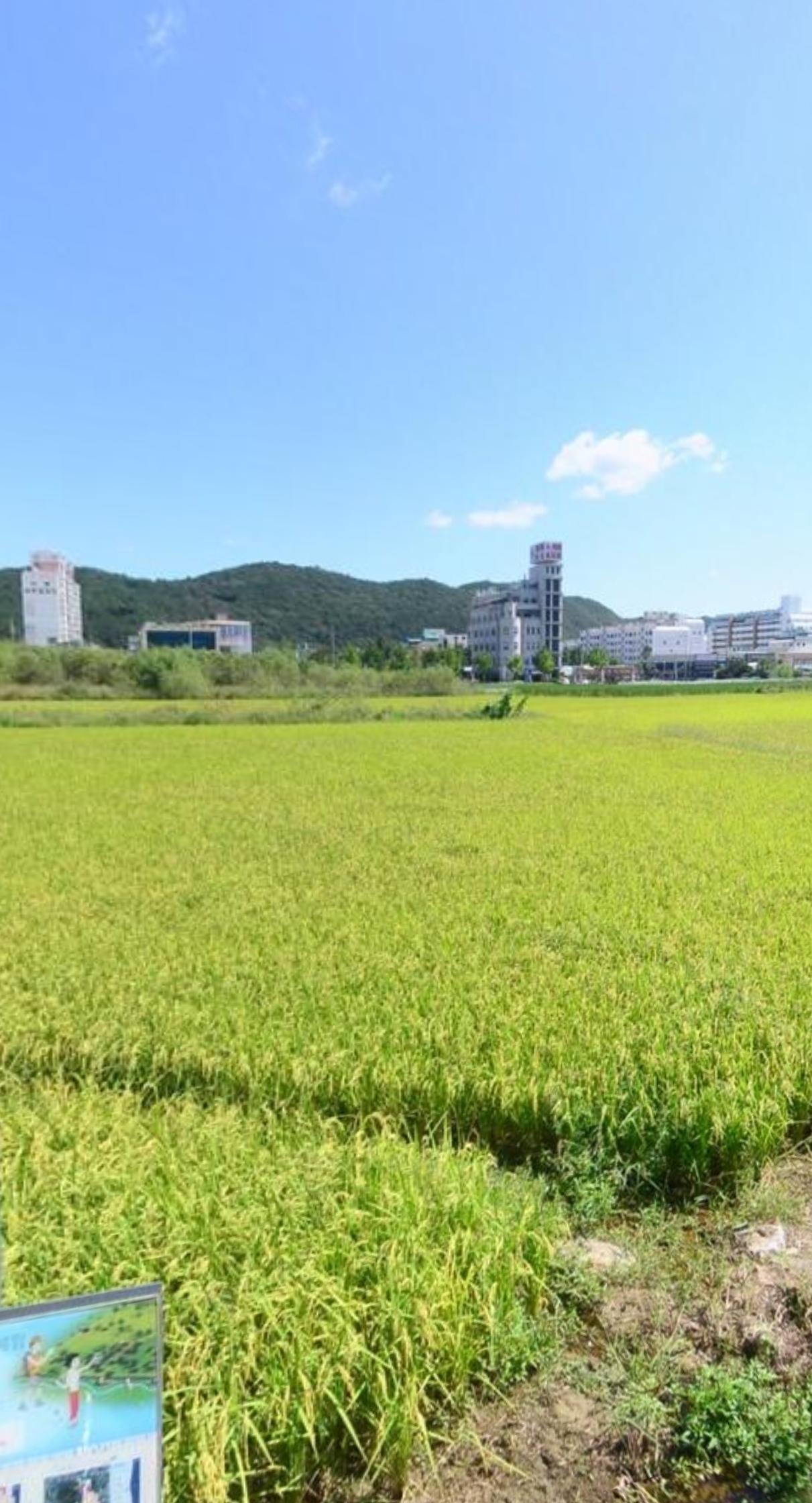 삼남읍 실거주자 사진 2