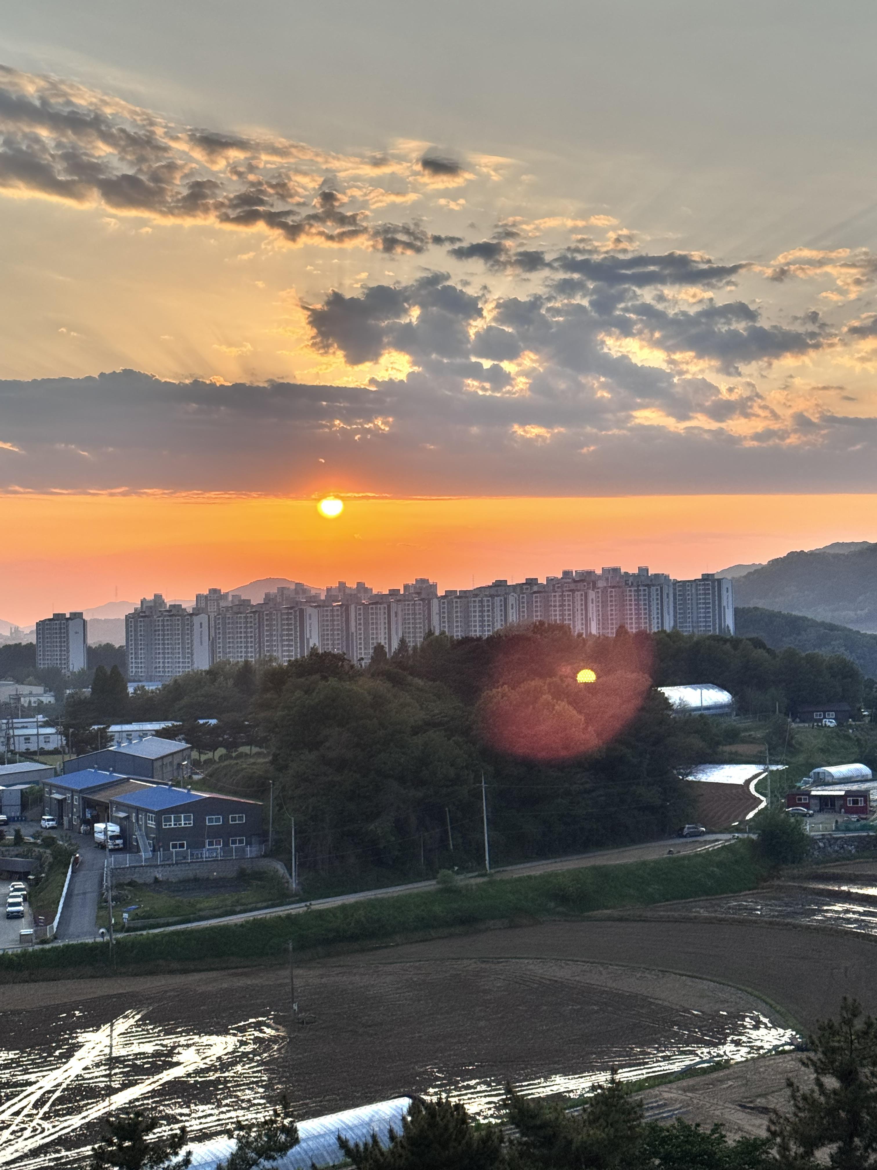 음봉면 실거주자 사진 1