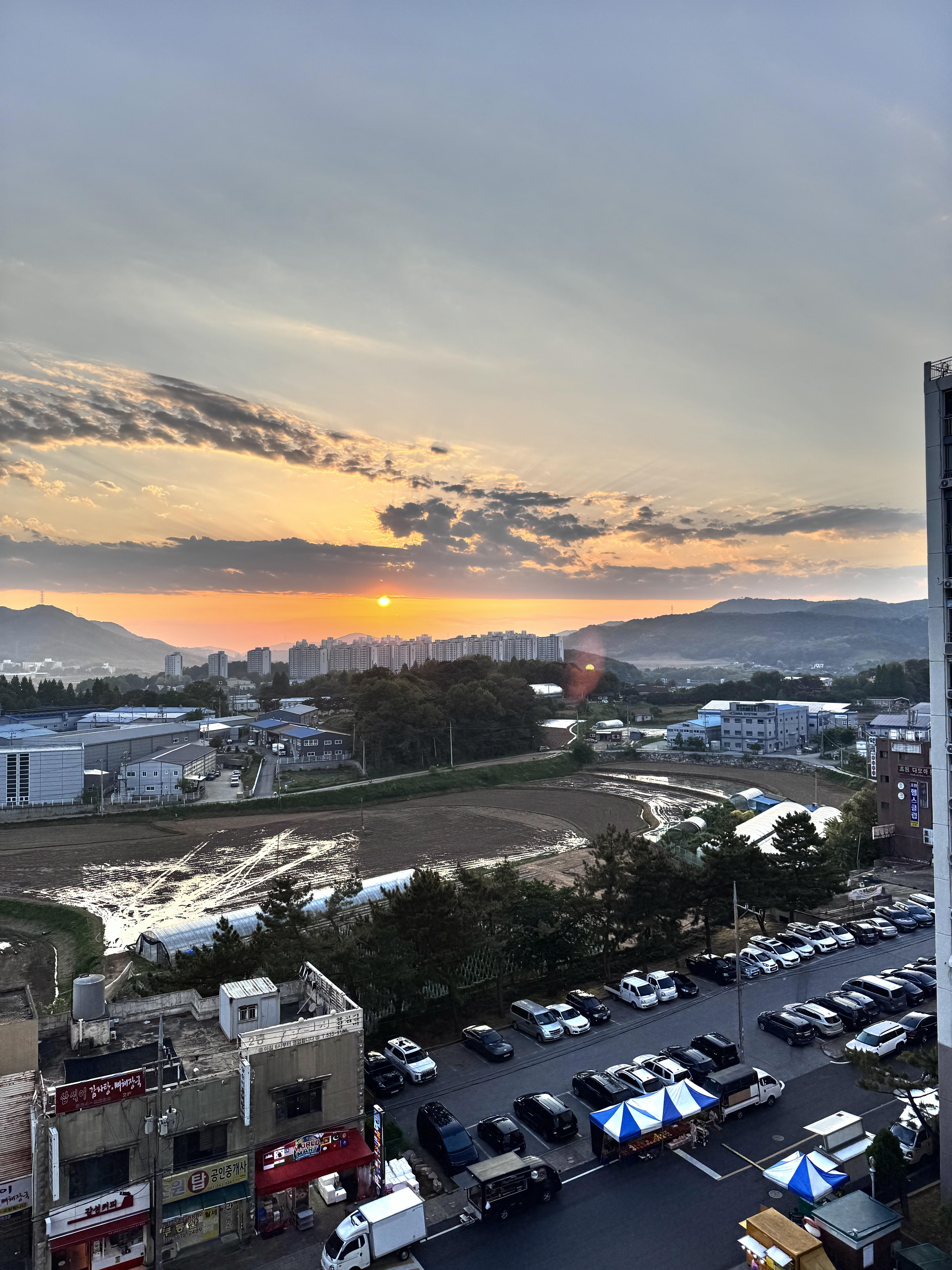 음봉면 실거주자 사진 3
