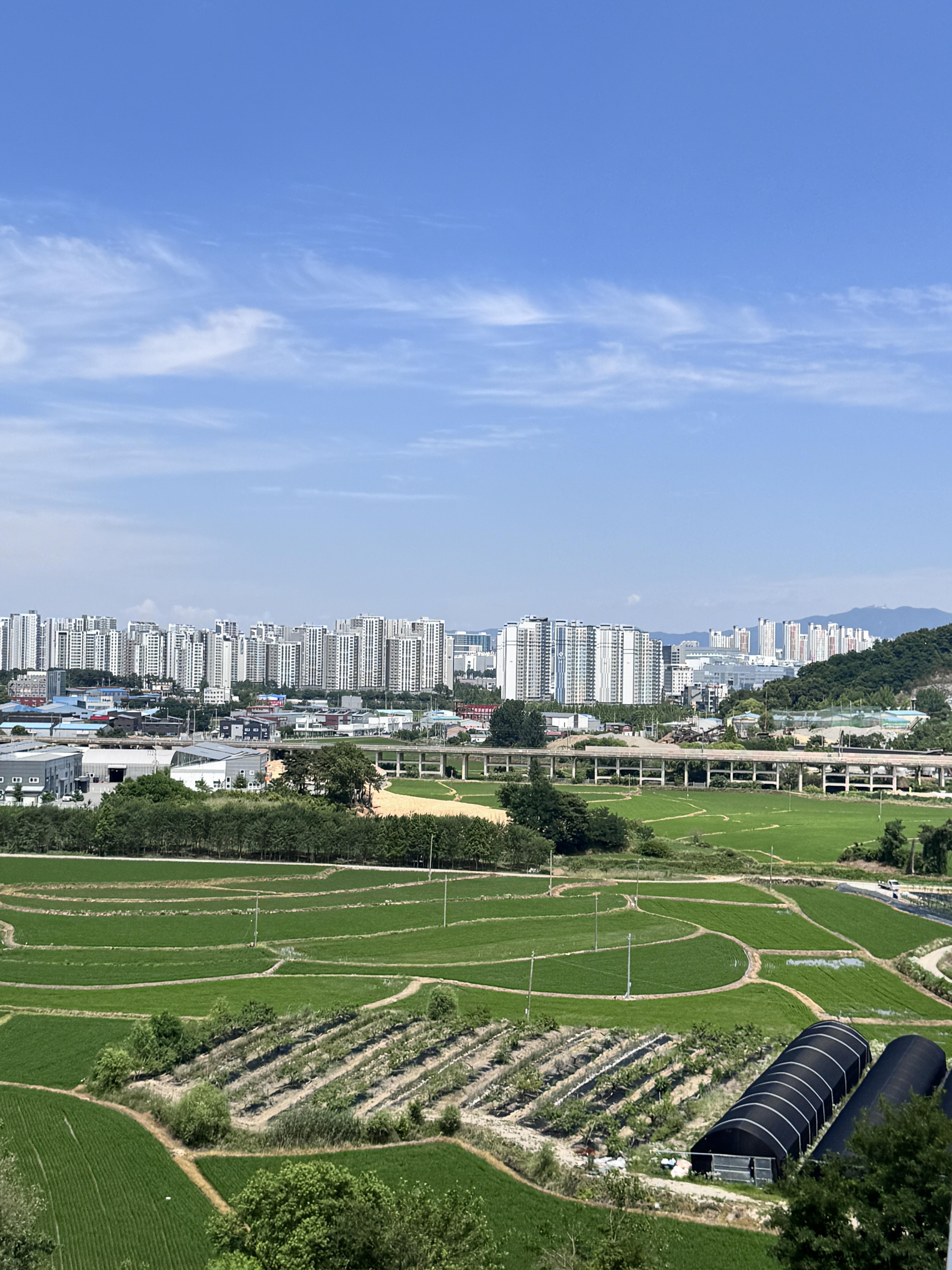 음봉면 실거주자 사진 2