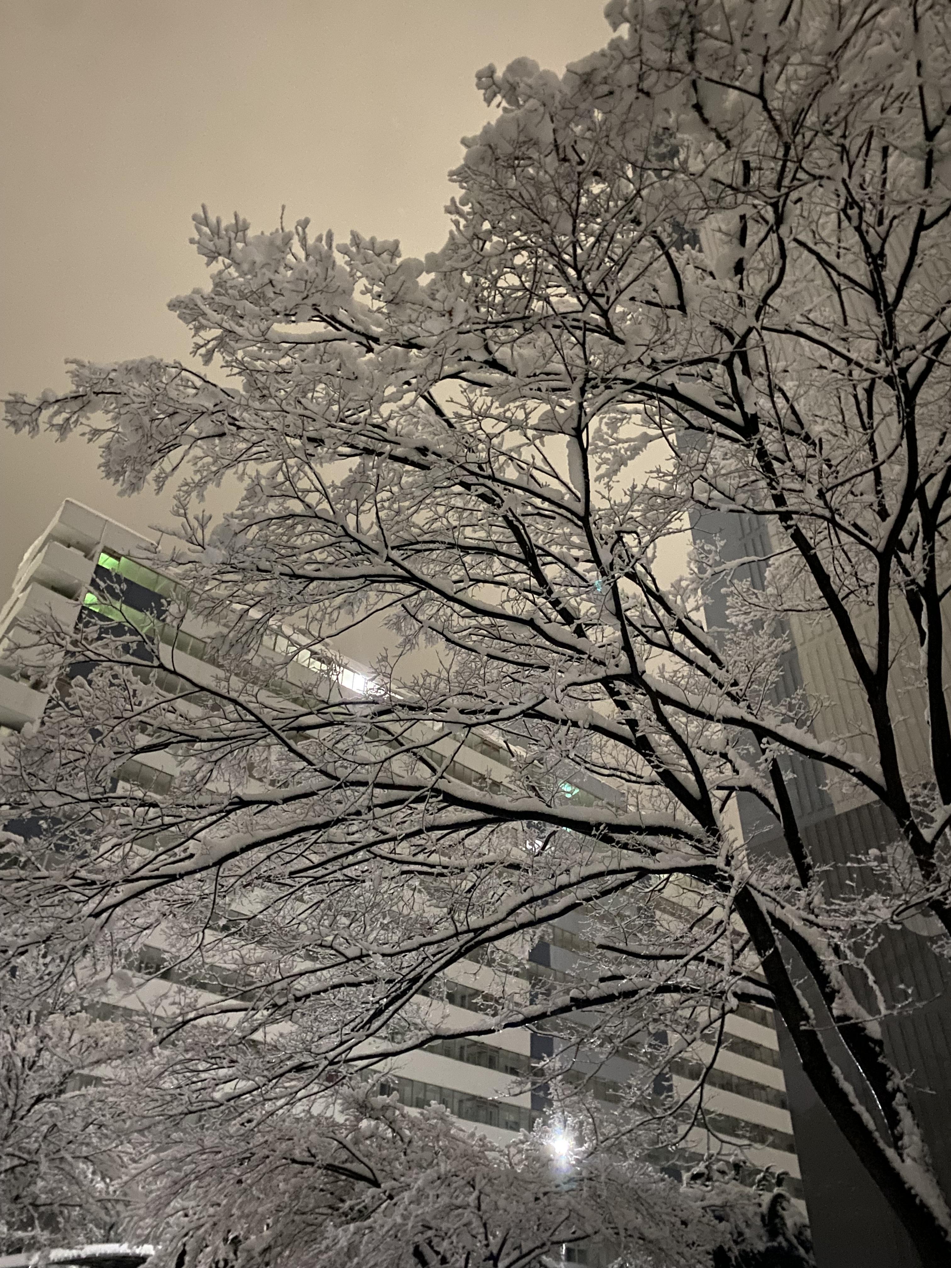 조양동 실거주자 사진 4