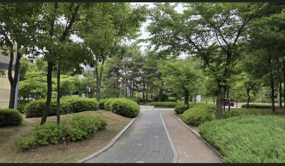 괴안동 실거주자 사진 1