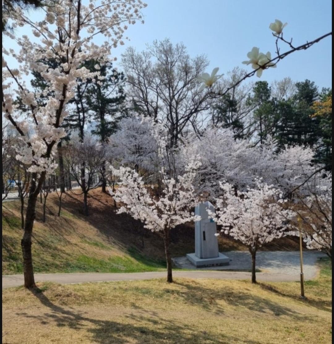 증포동 실거주자 사진 1