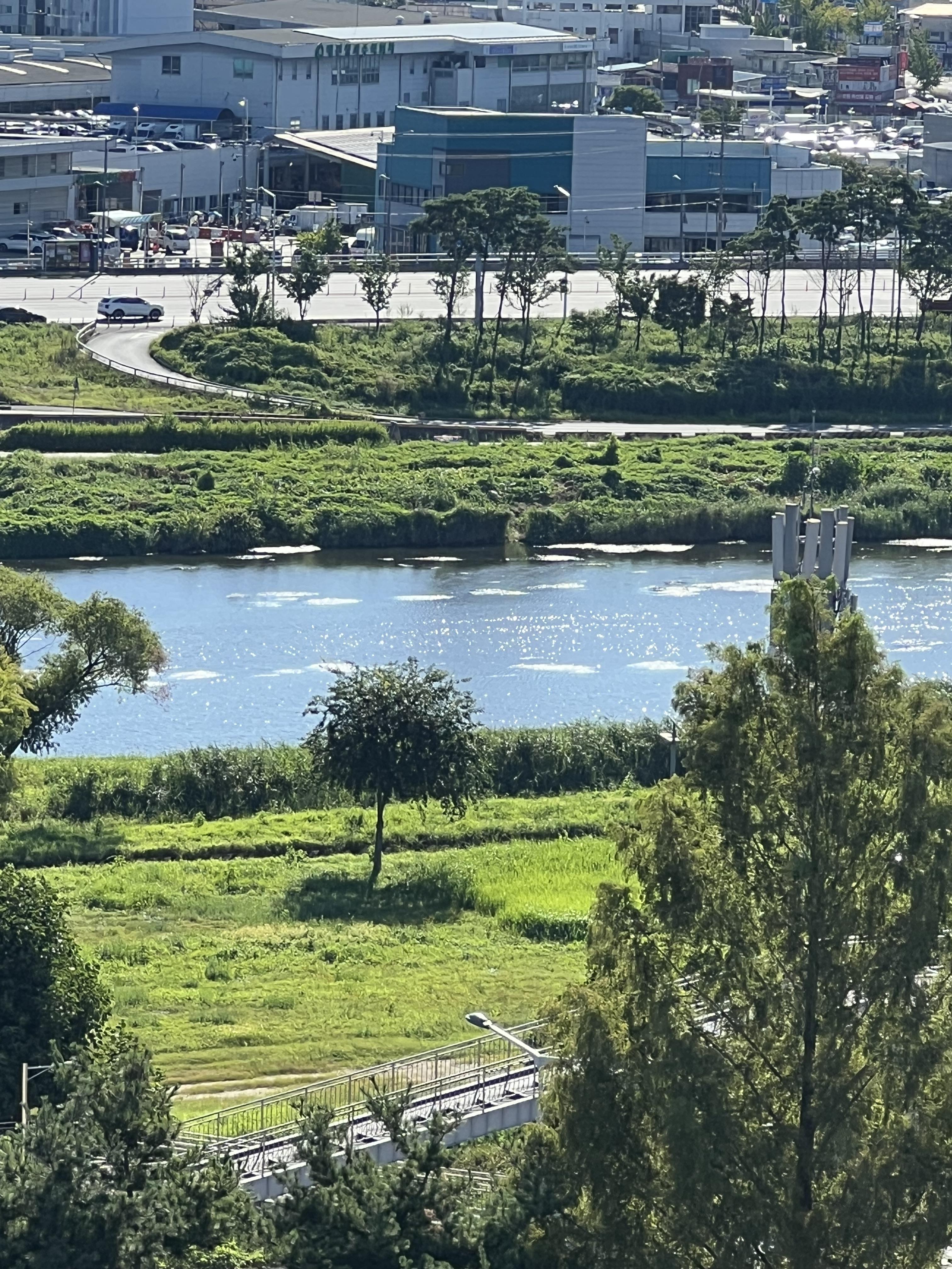 둔산동 실거주자 사진 4
