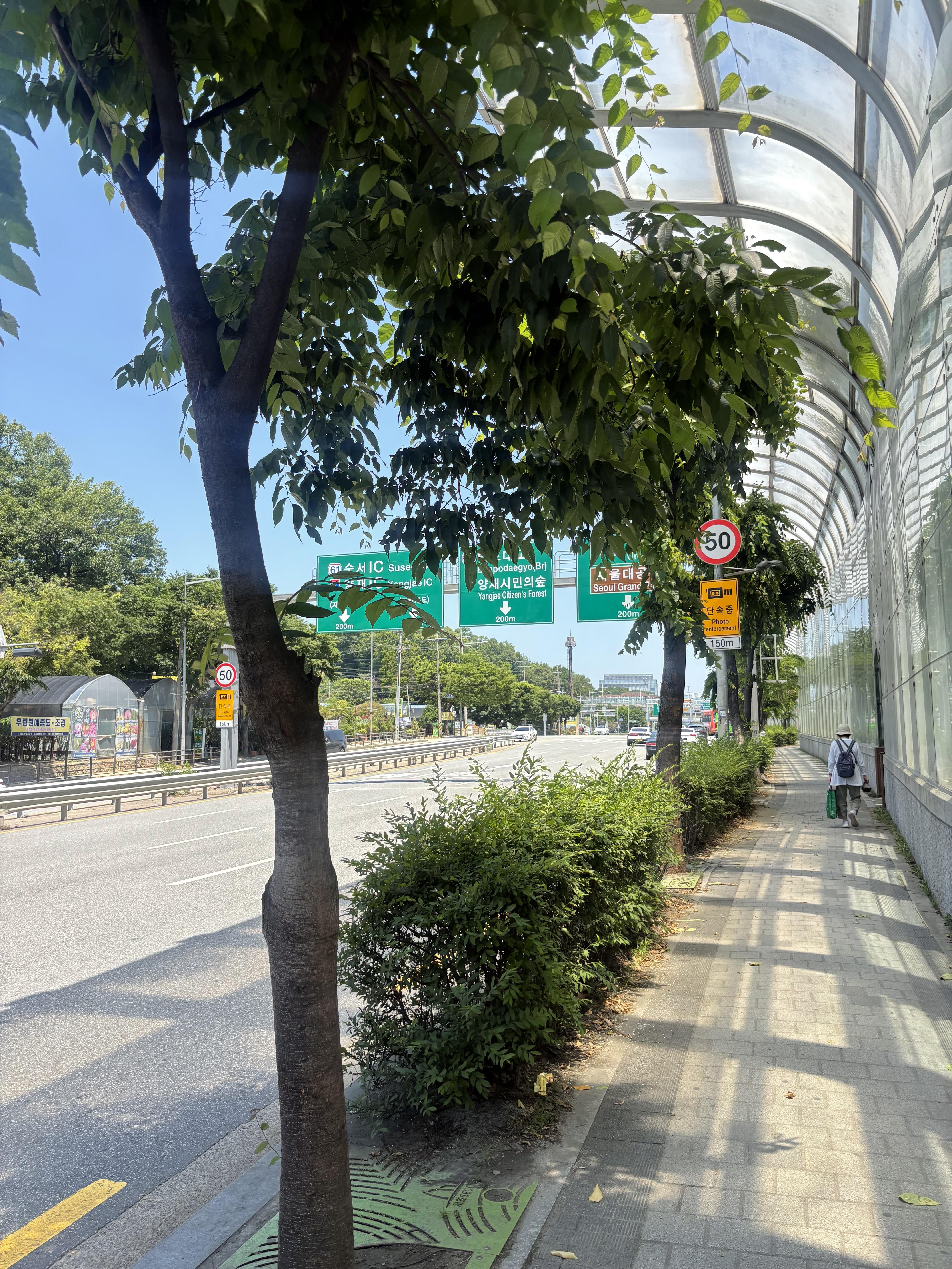 우면동 실거주자 사진 4